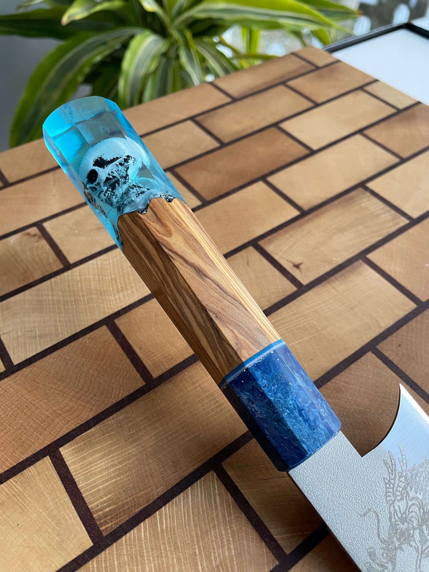 Asya Serisi Sujihiki / N690