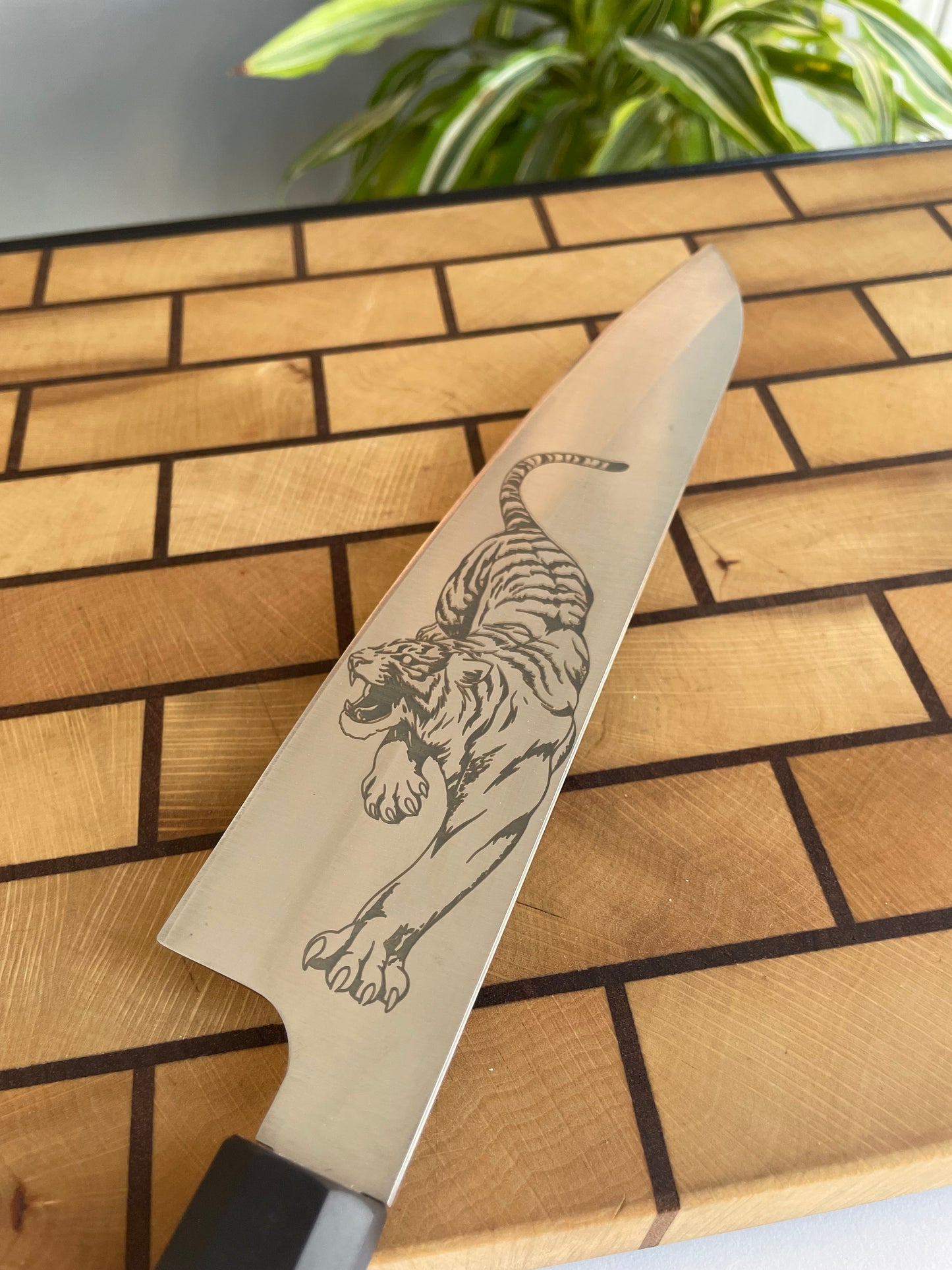 Asya Serisi Santoku / 1.4116