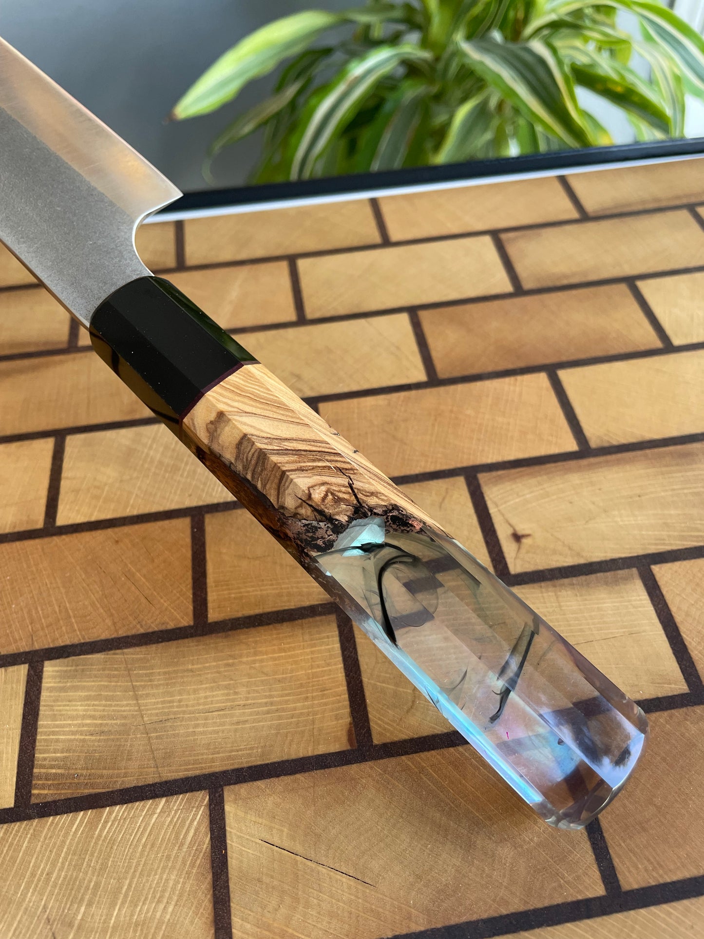 Asya Serisi Gyuto / N690