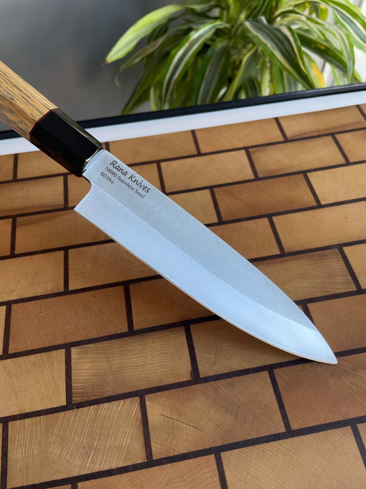Asya Serisi Petty / N690