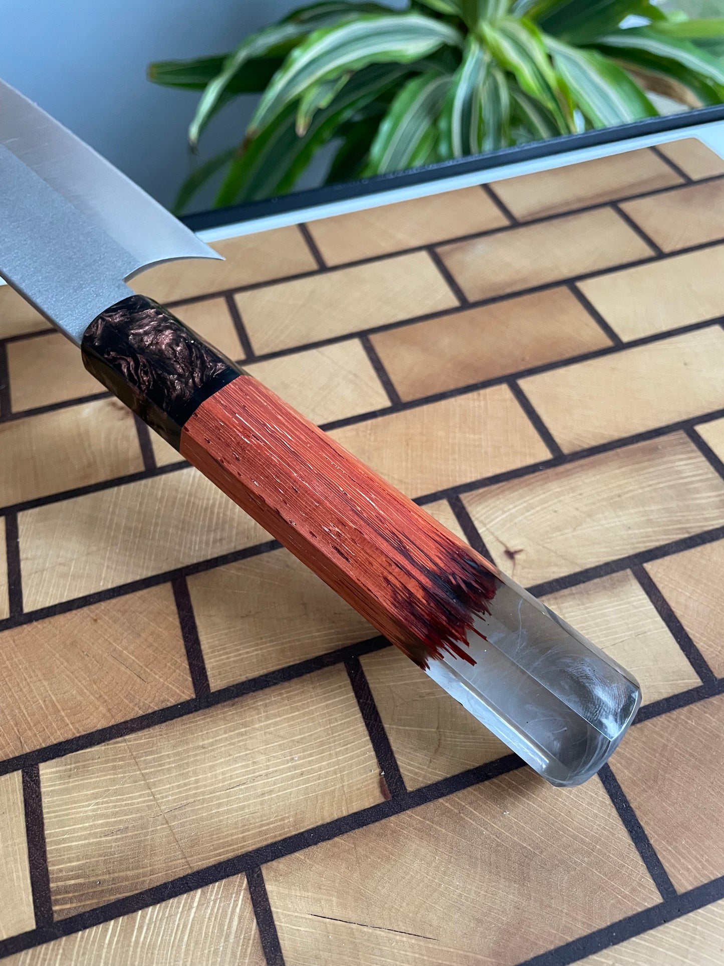Asya Serisi Sujihiki / N690