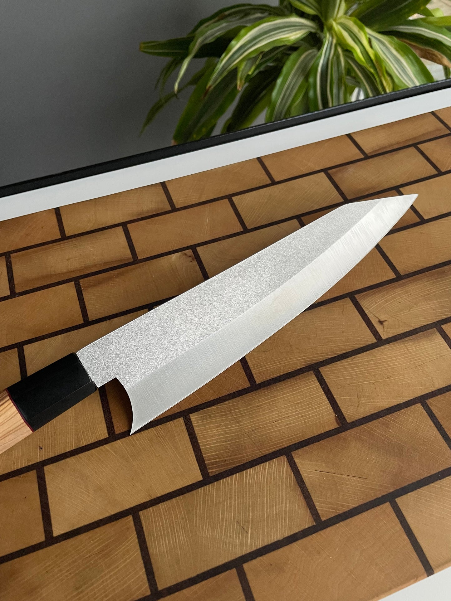 Asya Serisi Sujihiki / N690