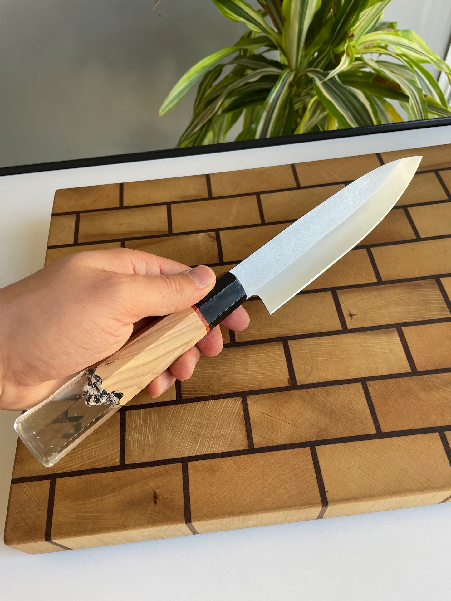 Asya Serisi Petty / N690