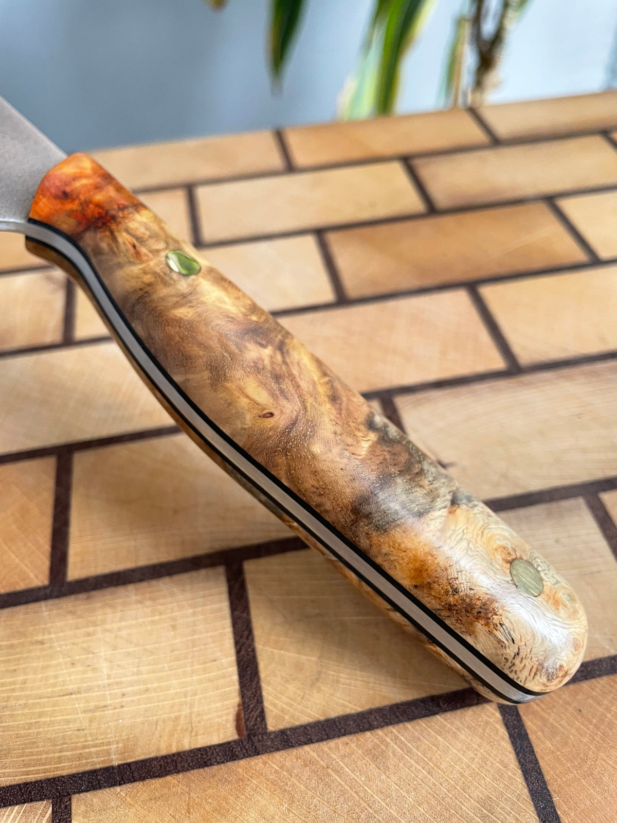 Asya Serisi Kiritsuke / N690