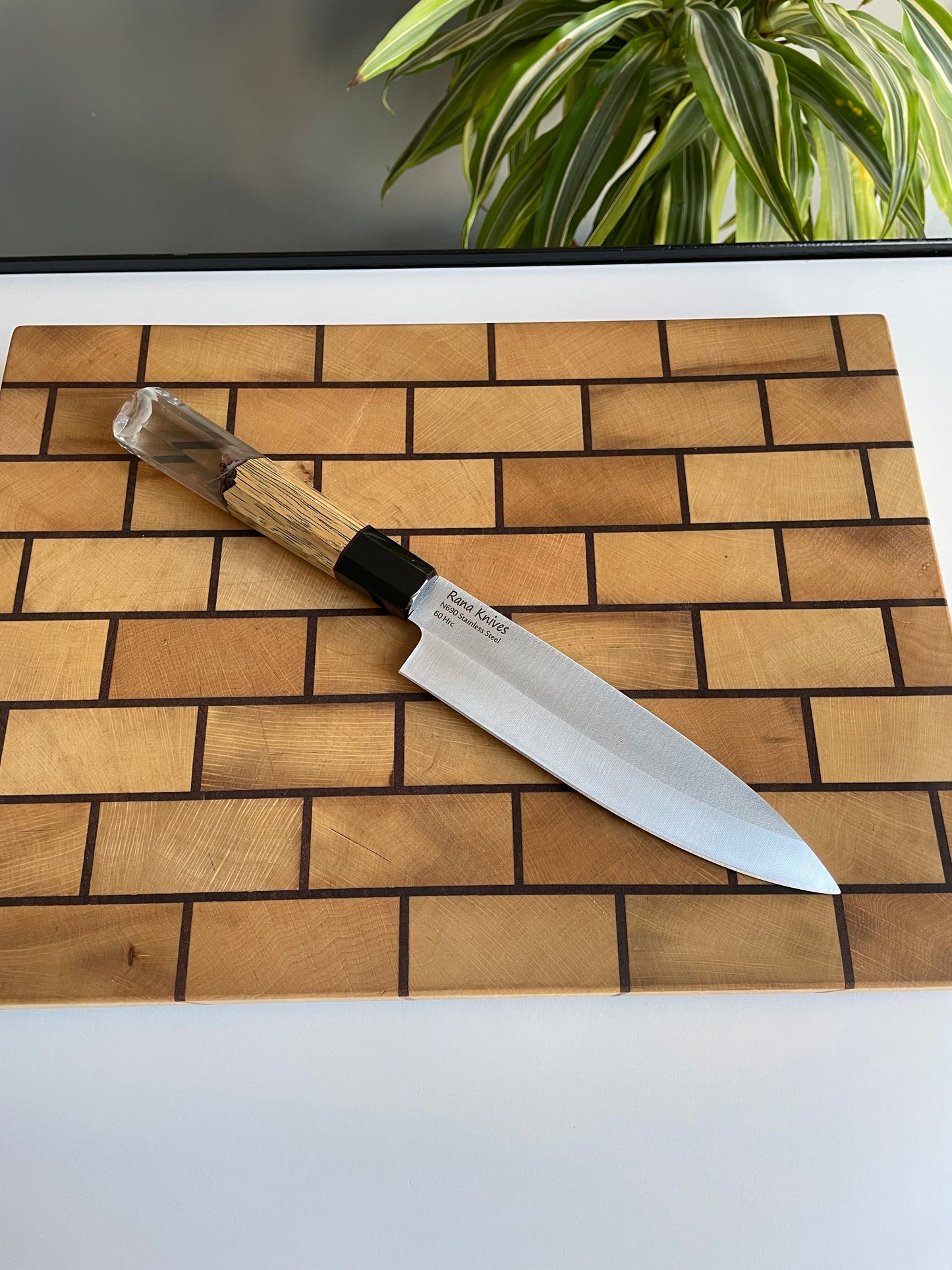 Asya Serisi Petty / N690
