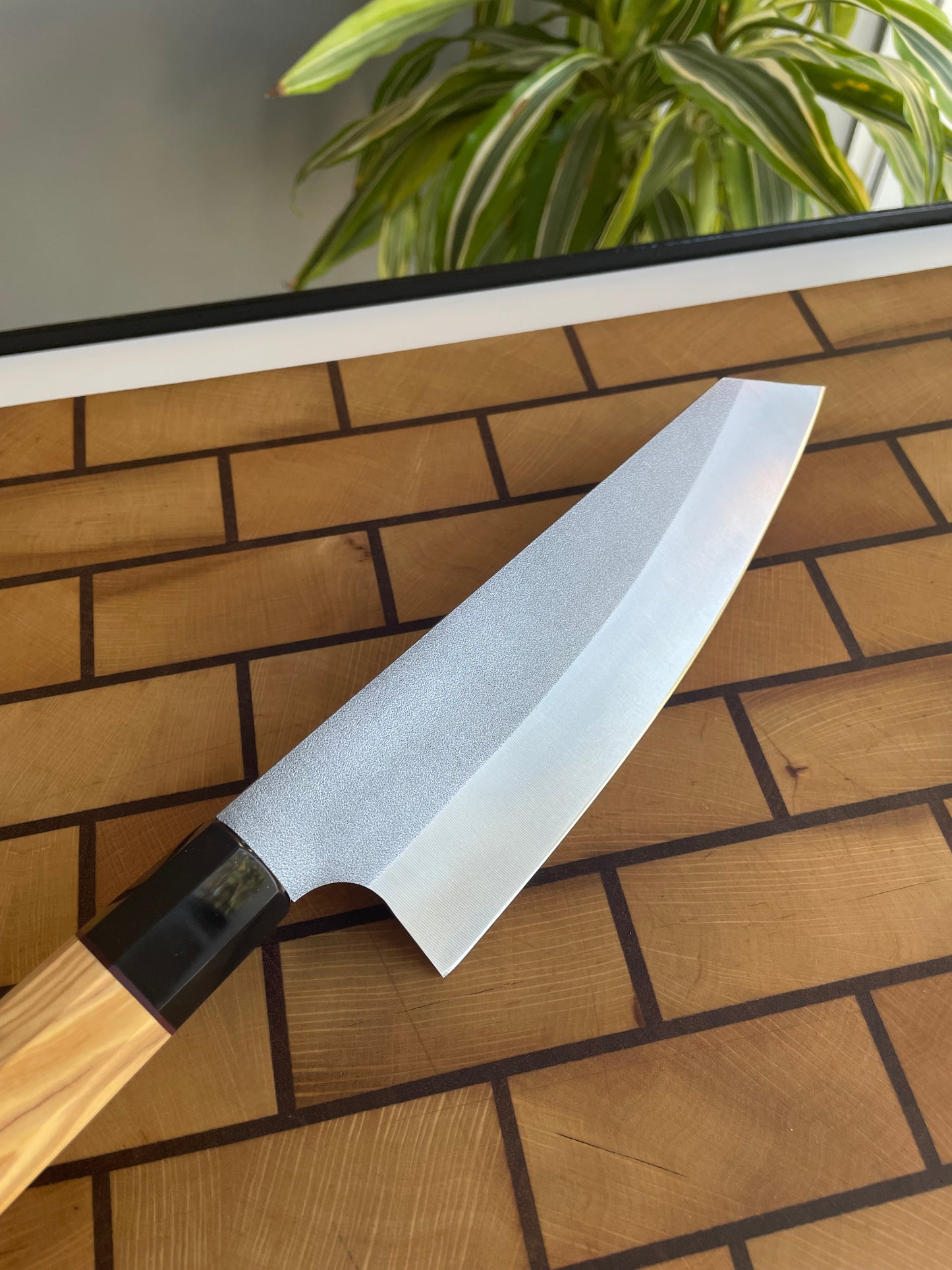 Asya Serisi Bunka / N690