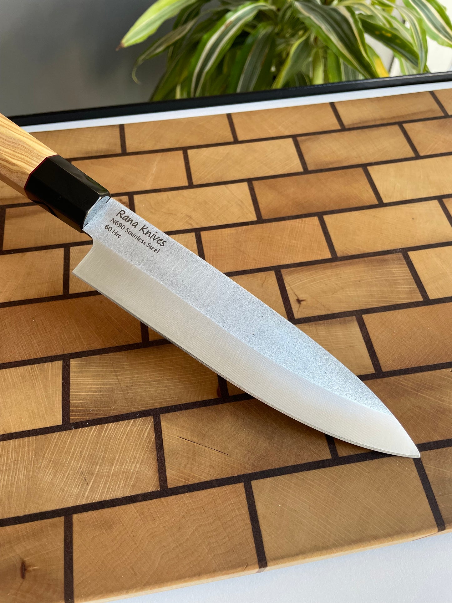 Asya Serisi Petty / N690
