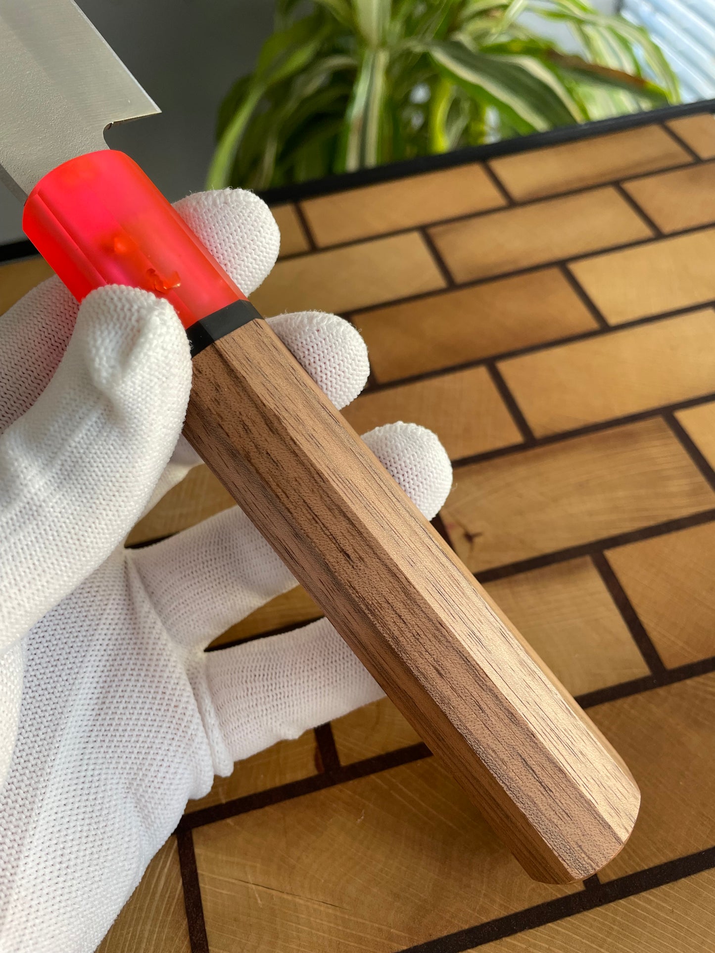 Asya Serisi Petty / 1.4116