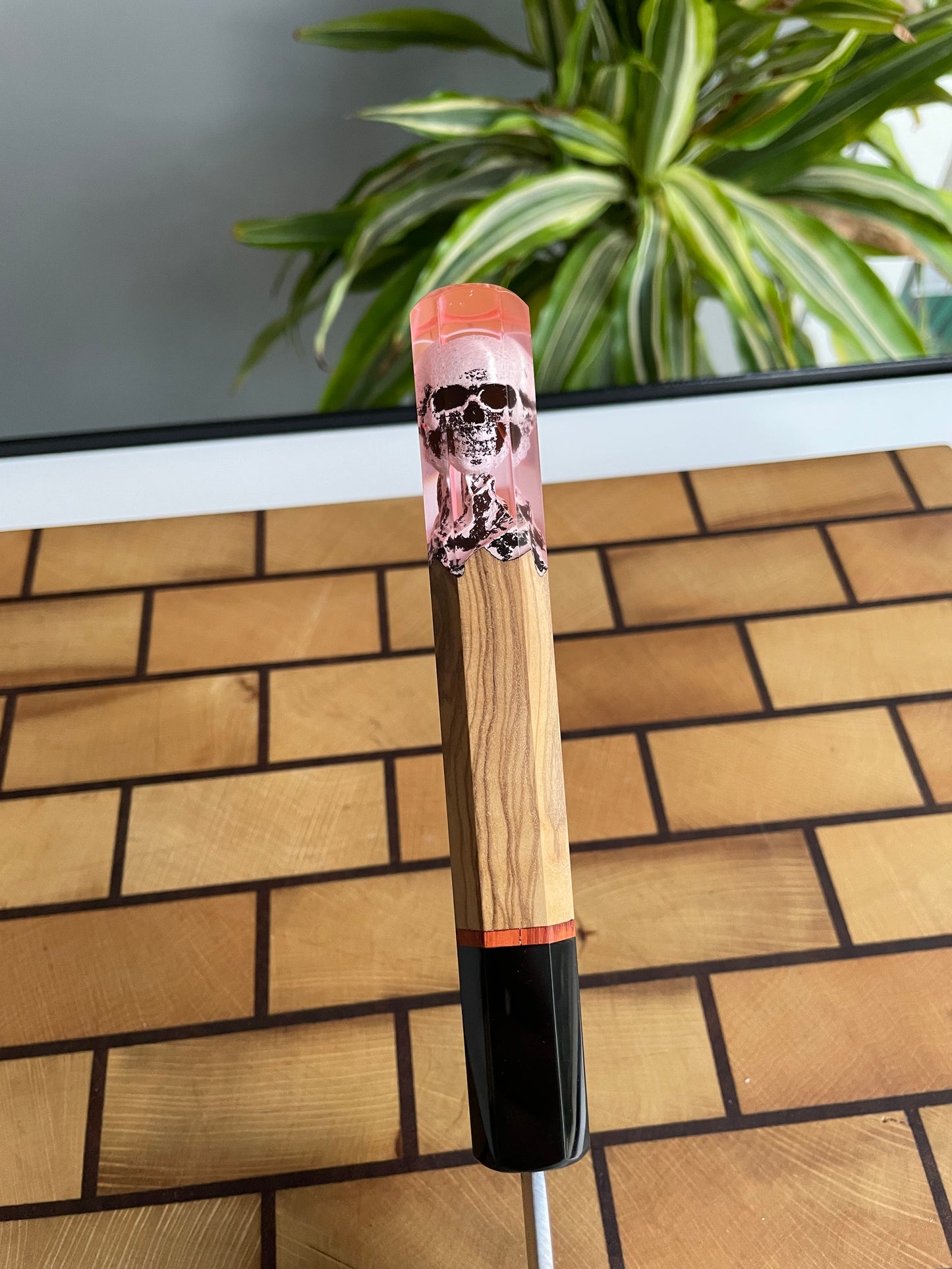 Asya Serisi Sujihiki / N690