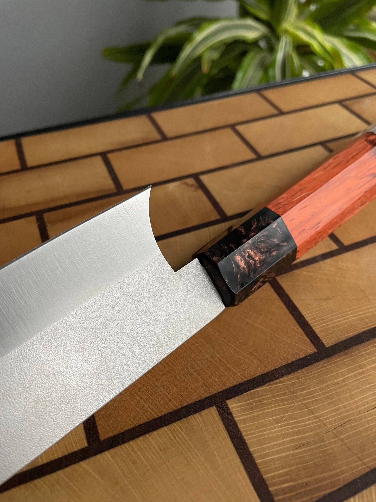 Asya Serisi Sujihiki / N690