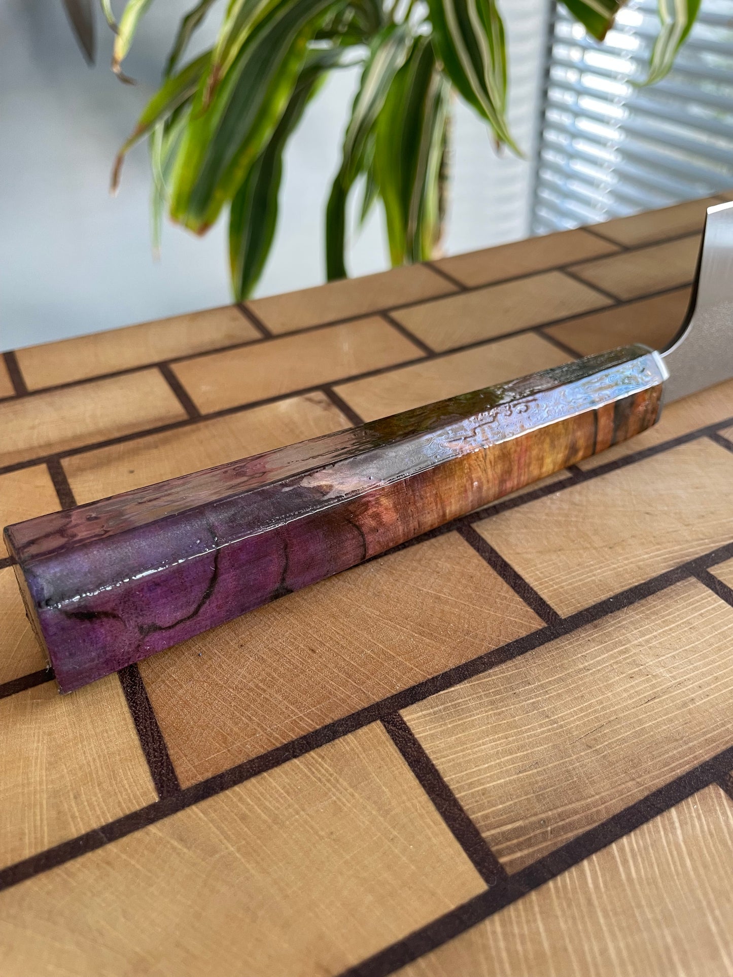 Asya Serisi Kiritsuke / N690
