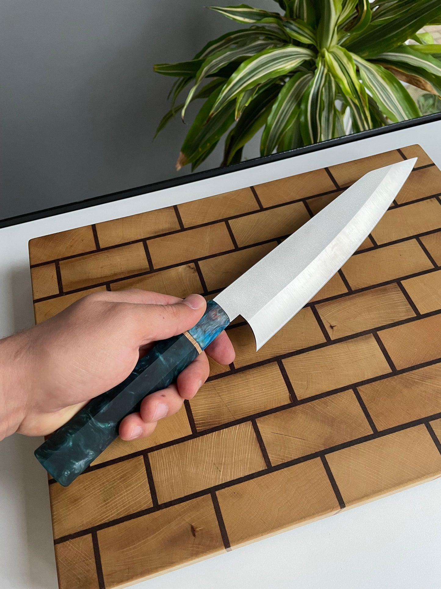 Asya Serisi Sujihiki / N690