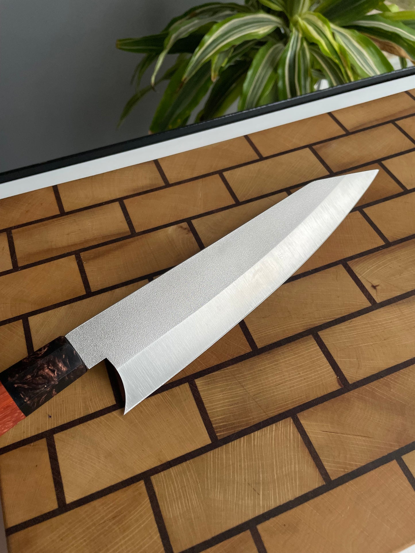 Asya Serisi Sujihiki / N690