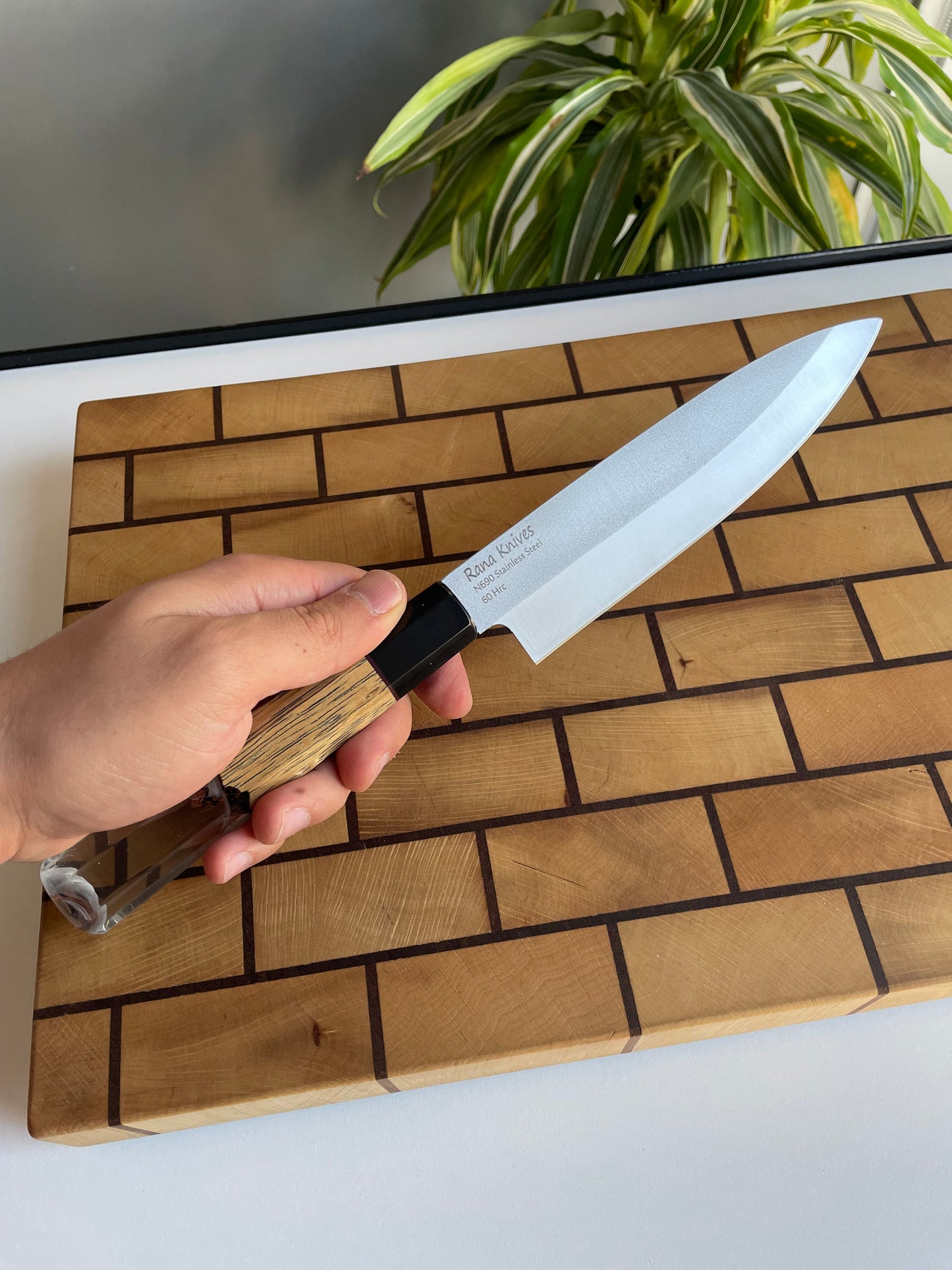 Asya Serisi Petty / N690