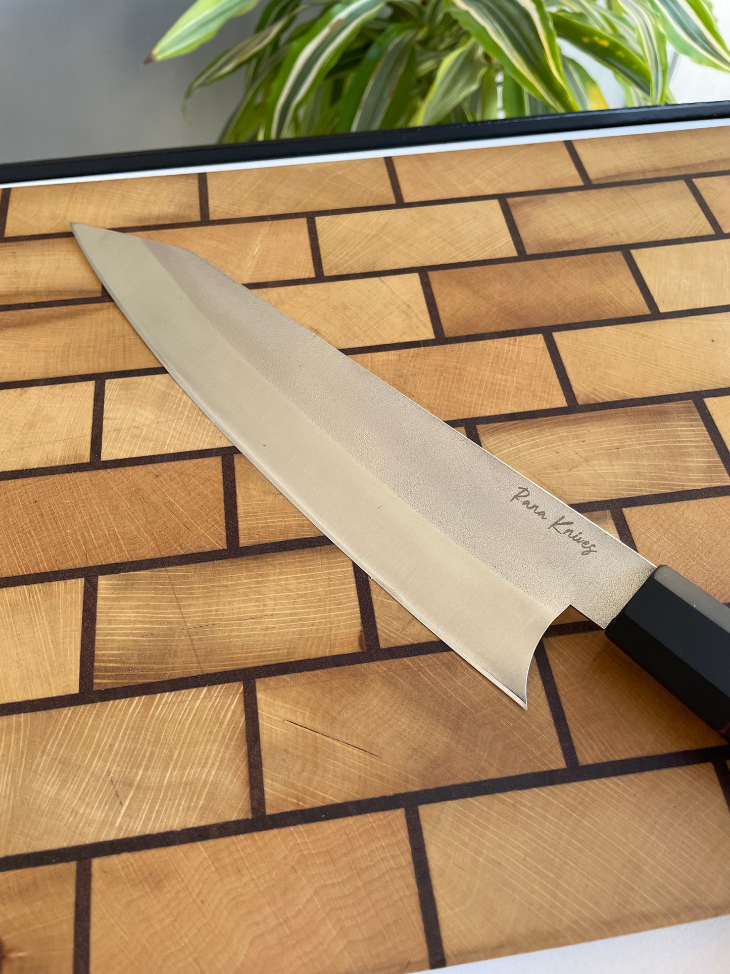 Asya Serisi Sujihiki / N690