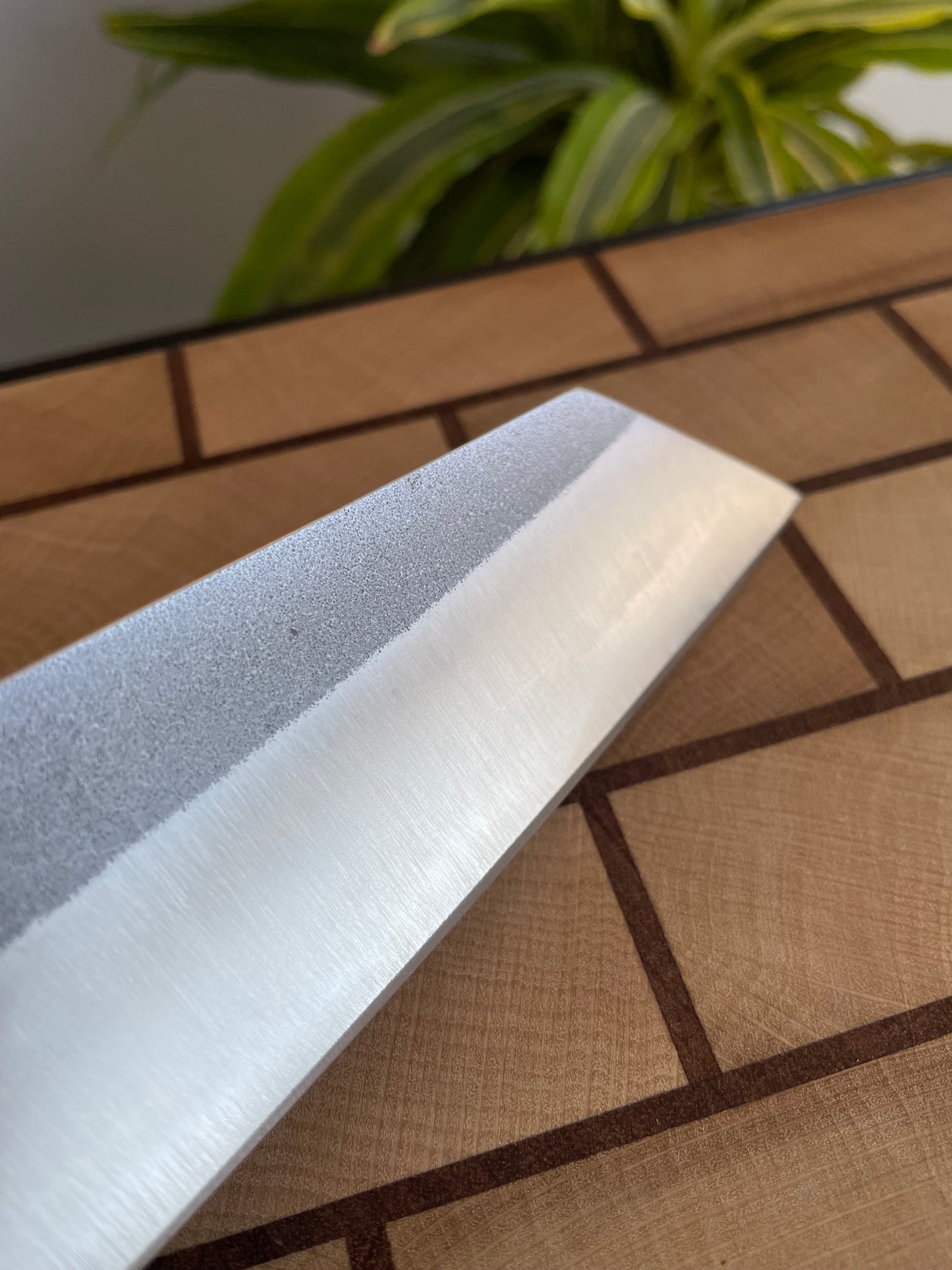 Asya Serisi Kiritsuke / N690