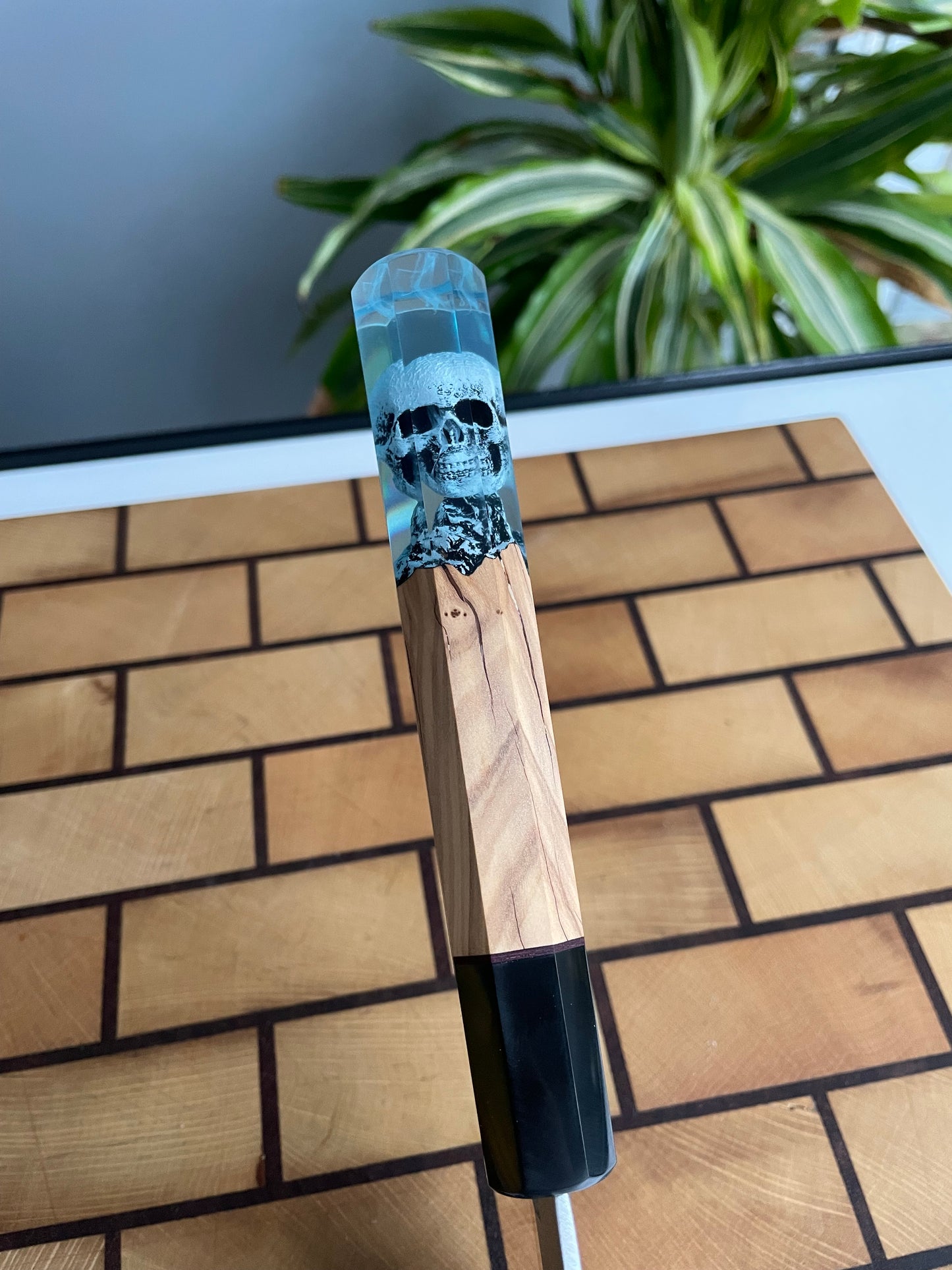 Asya Serisi Sujihiki / N690