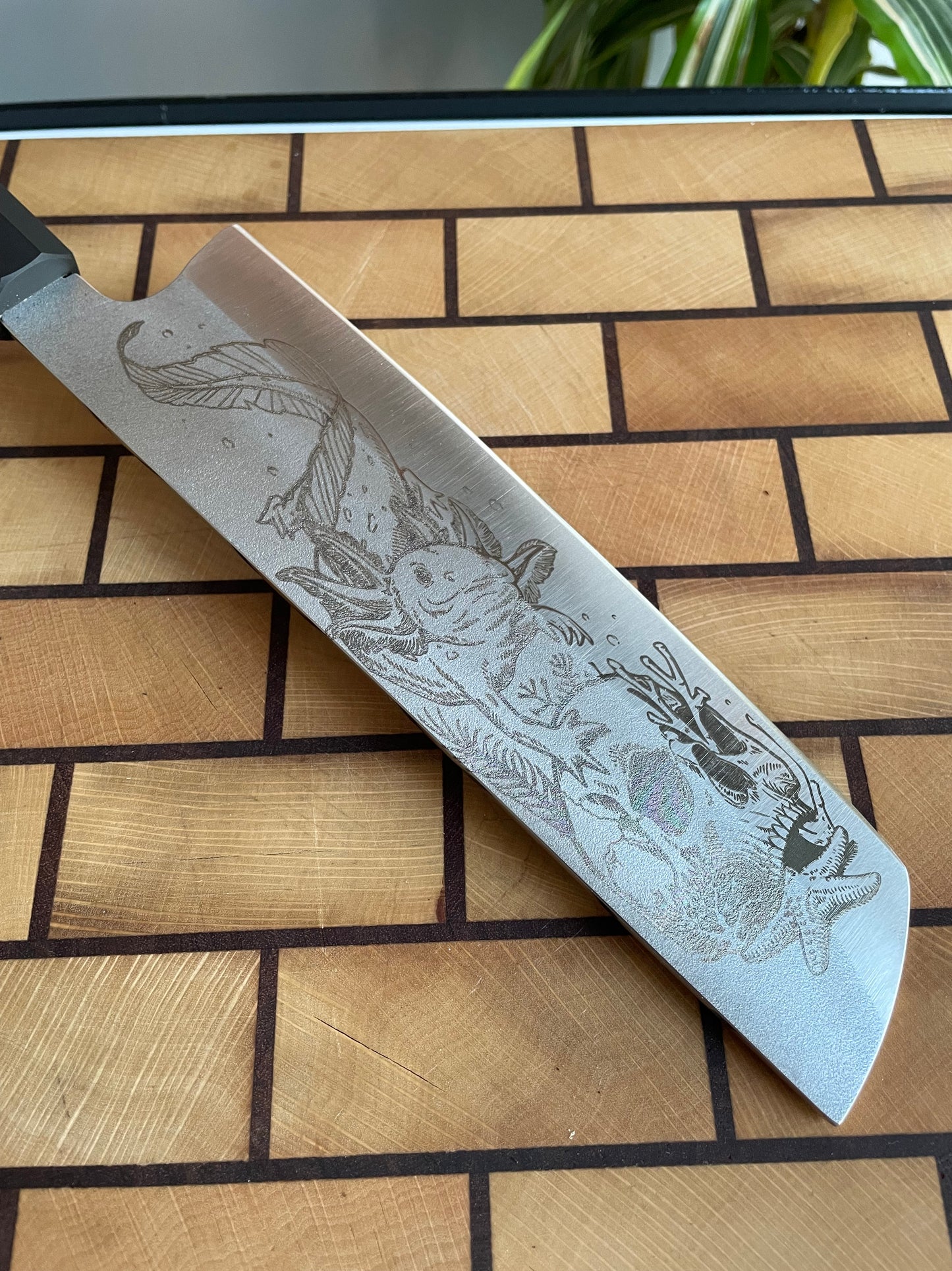 Asya Serisi Nakiri / N690