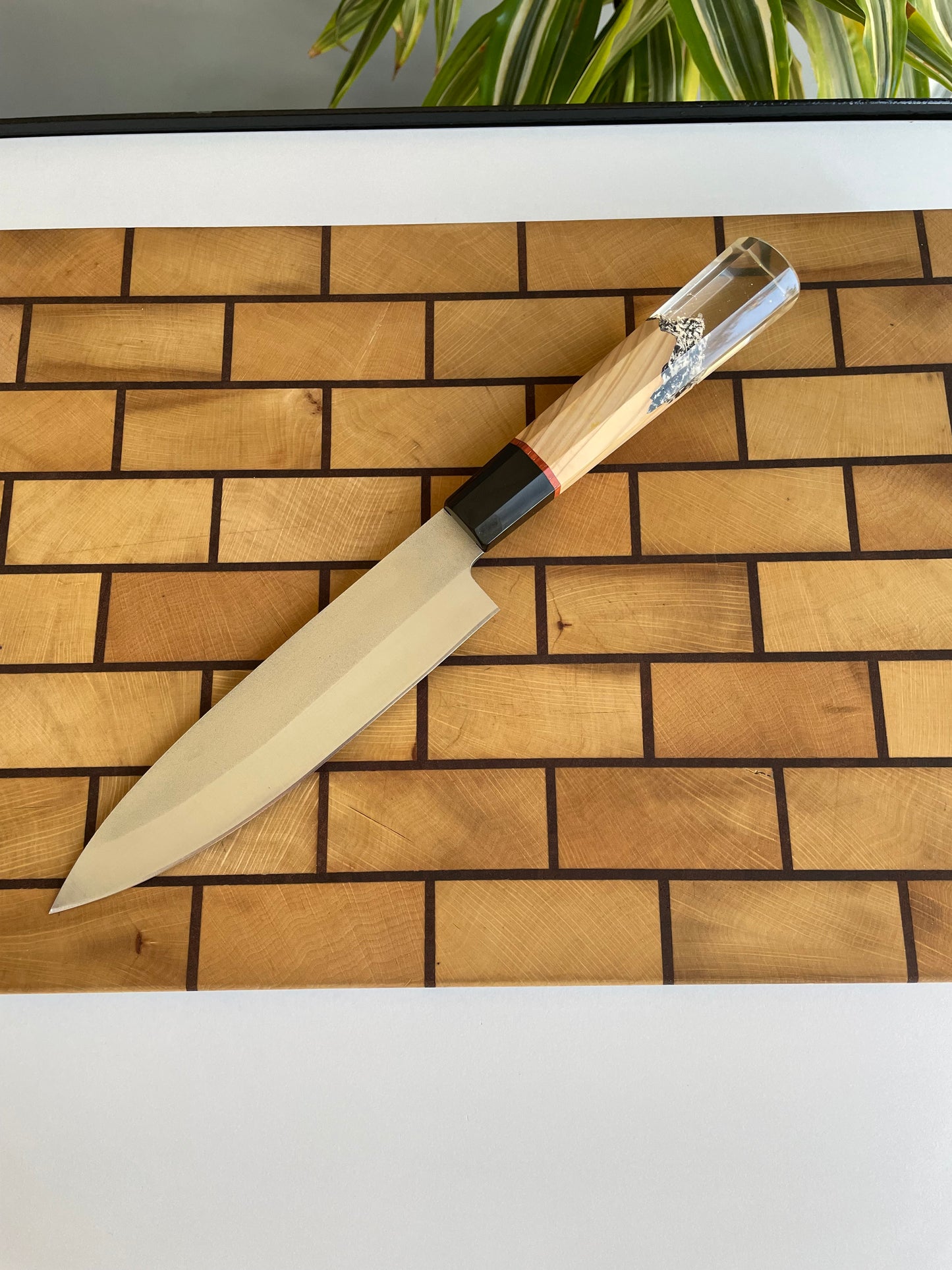 Asya Serisi Petty / N690