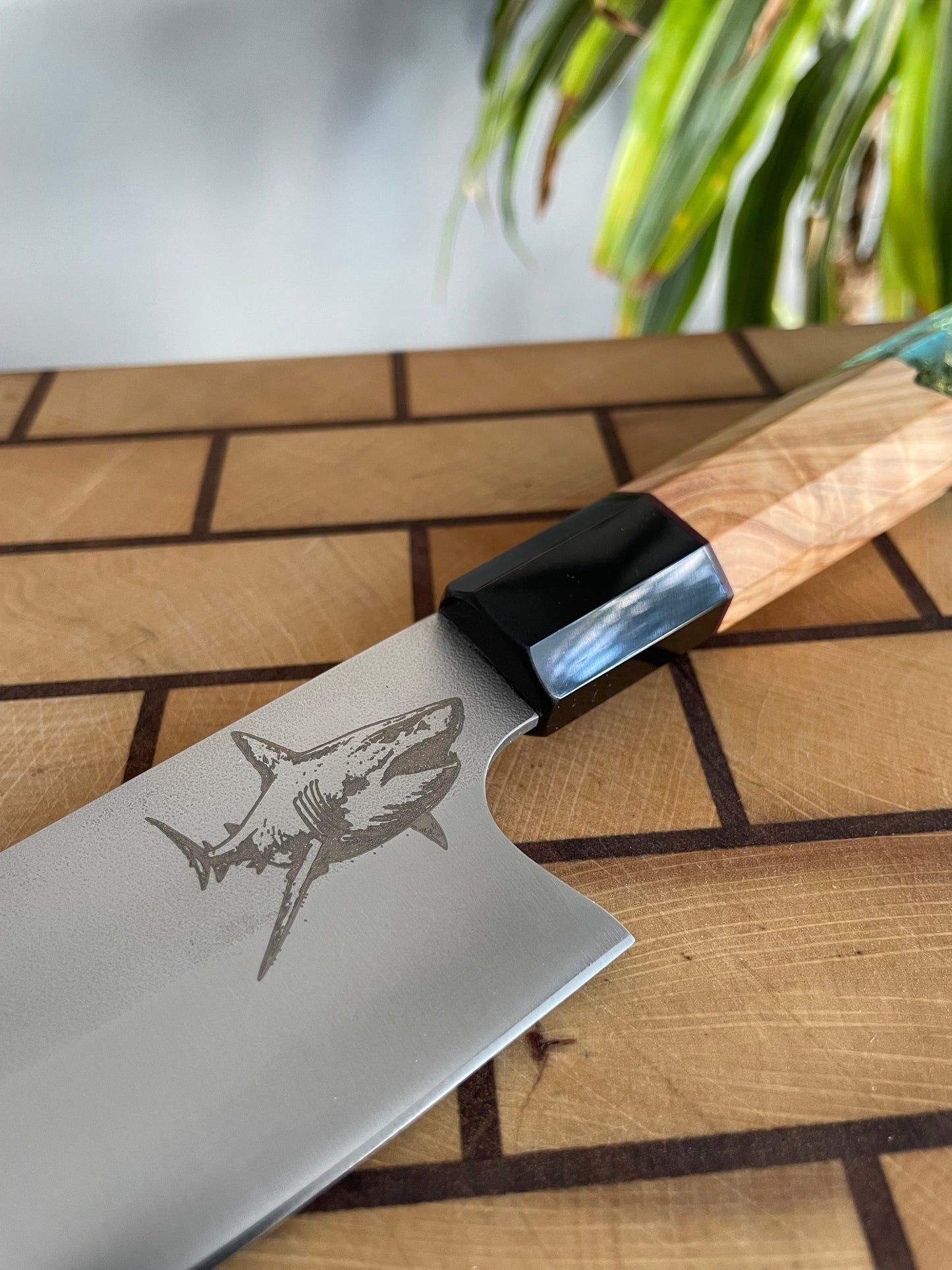Asya Serisi Sujihiki / N690