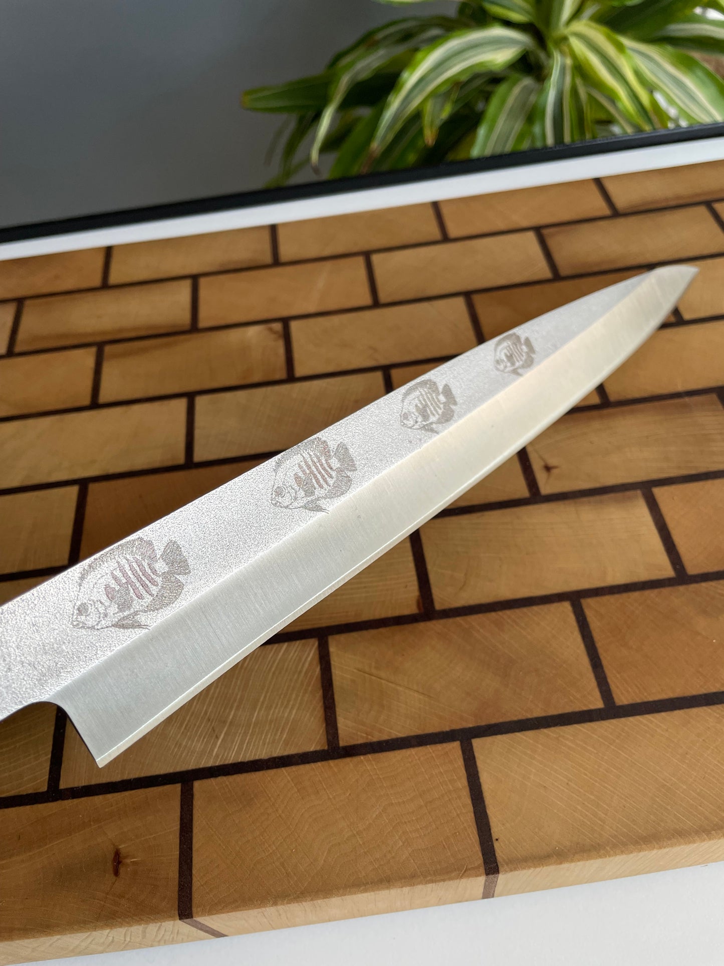 Asya Serisi Yanagiba / N690