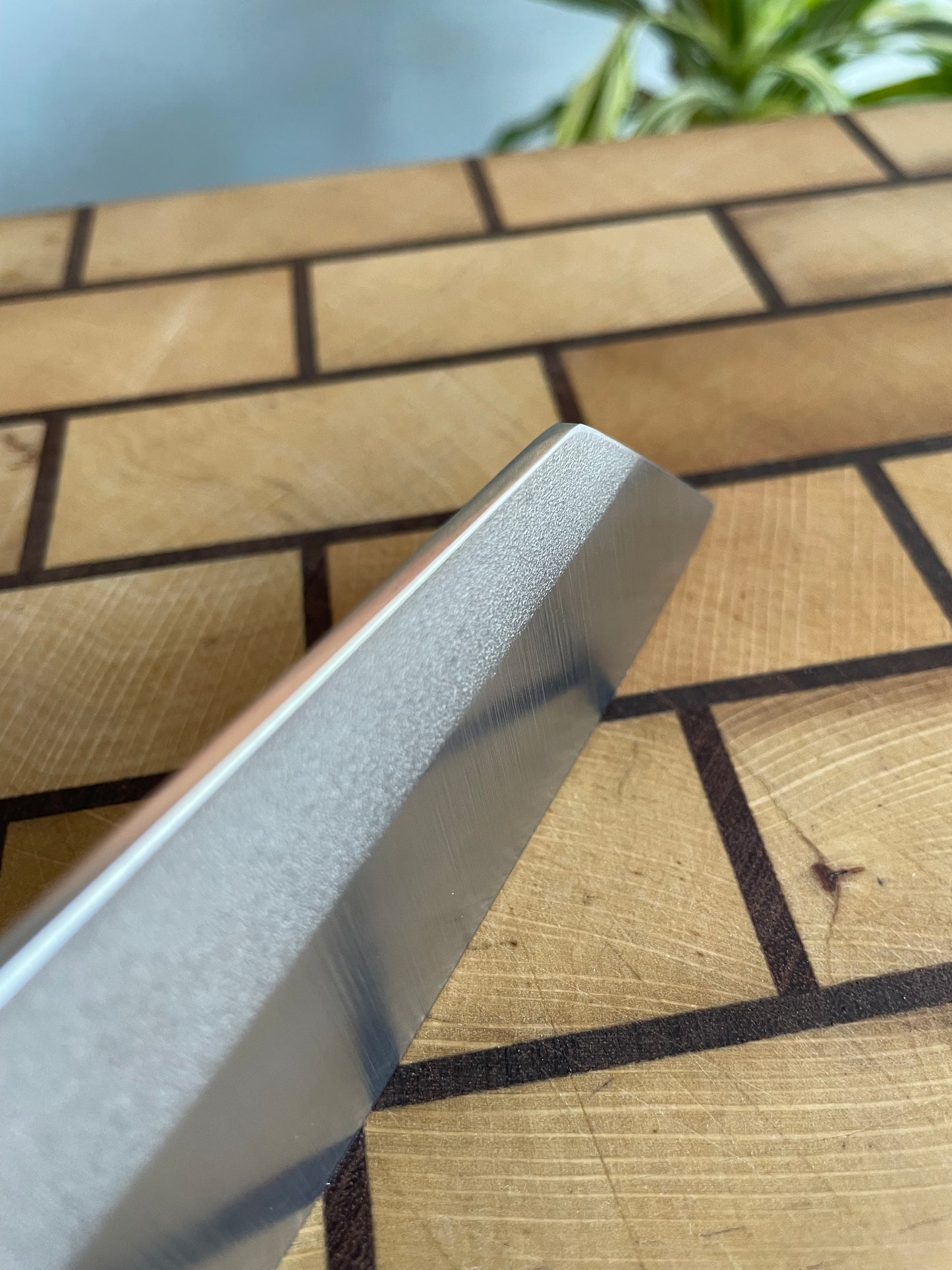 Asya Serisi Kiritsuke / N690