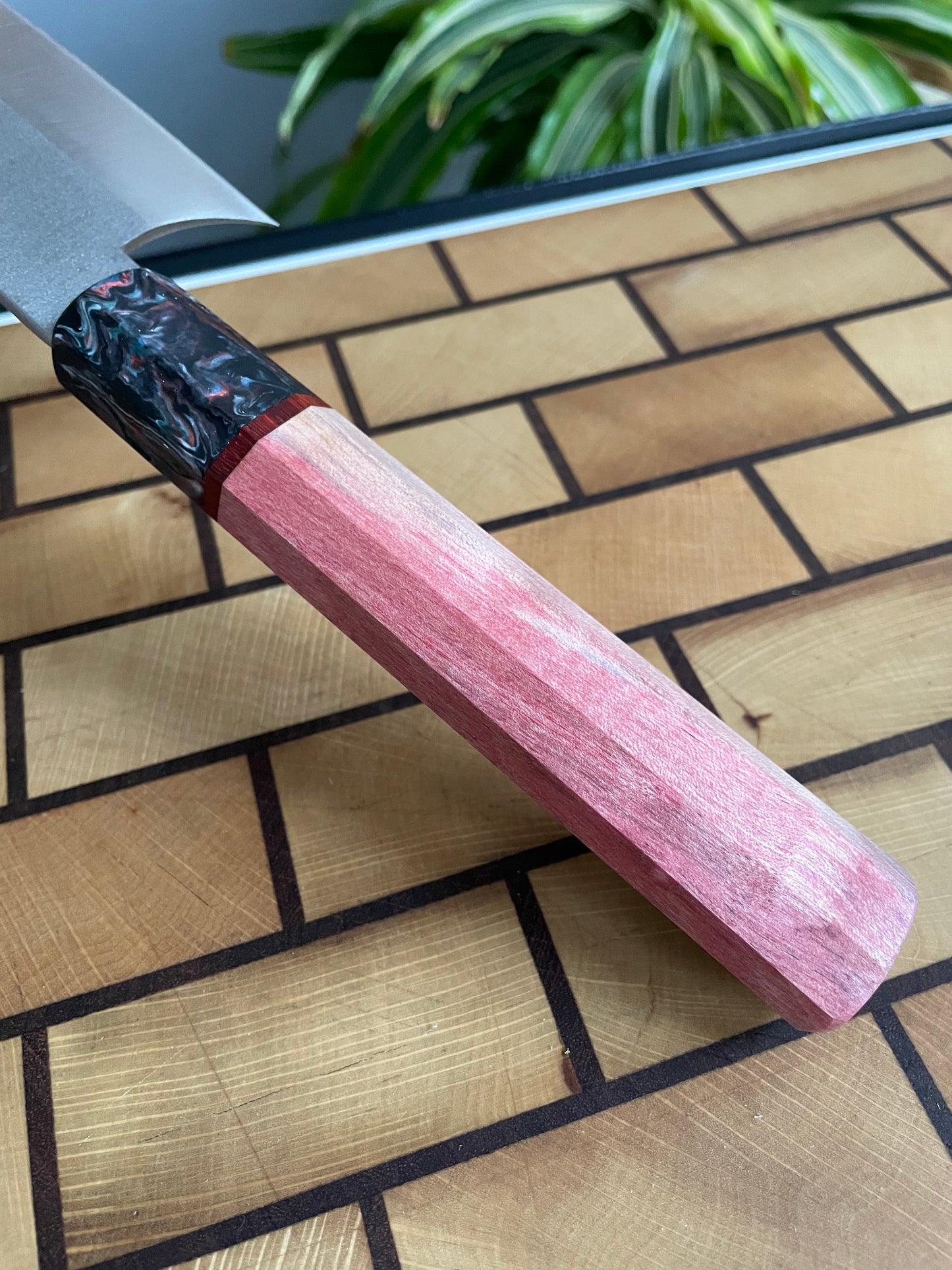 Asya Serisi Sujihiki / N690