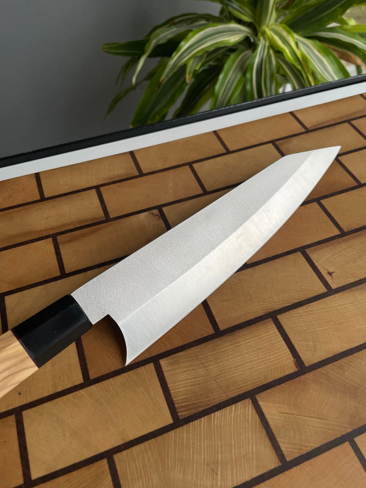 Asya Serisi Sujihiki / N690