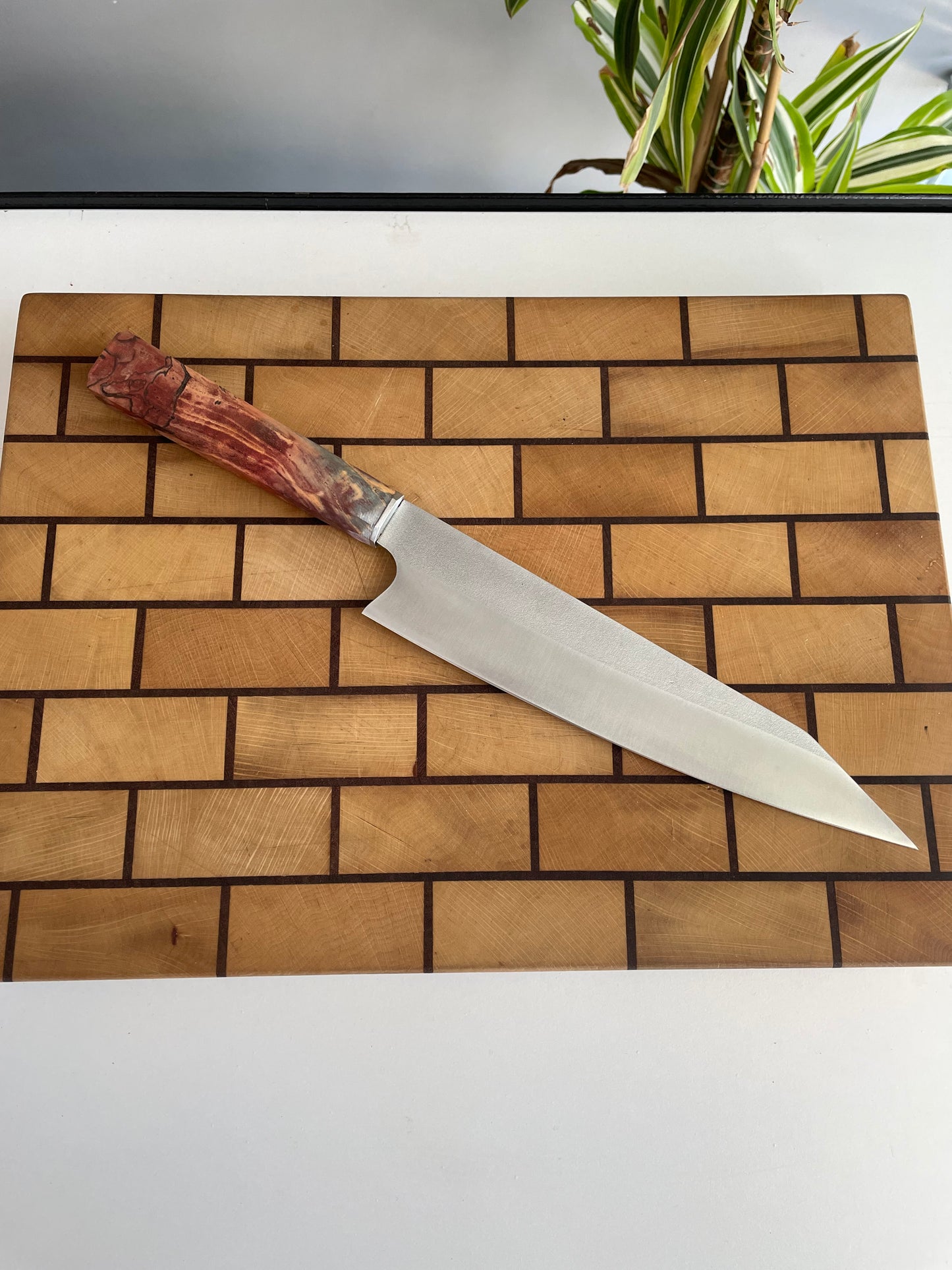 Asya Serisi Sujihiki / N690