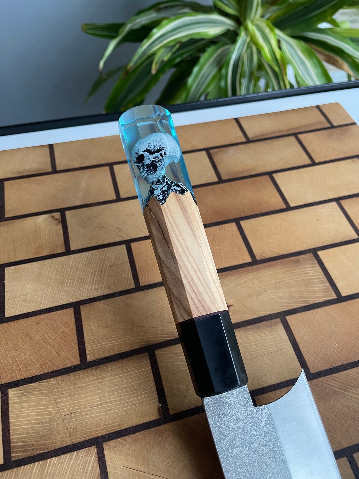 Asya Serisi Sujihiki / N690