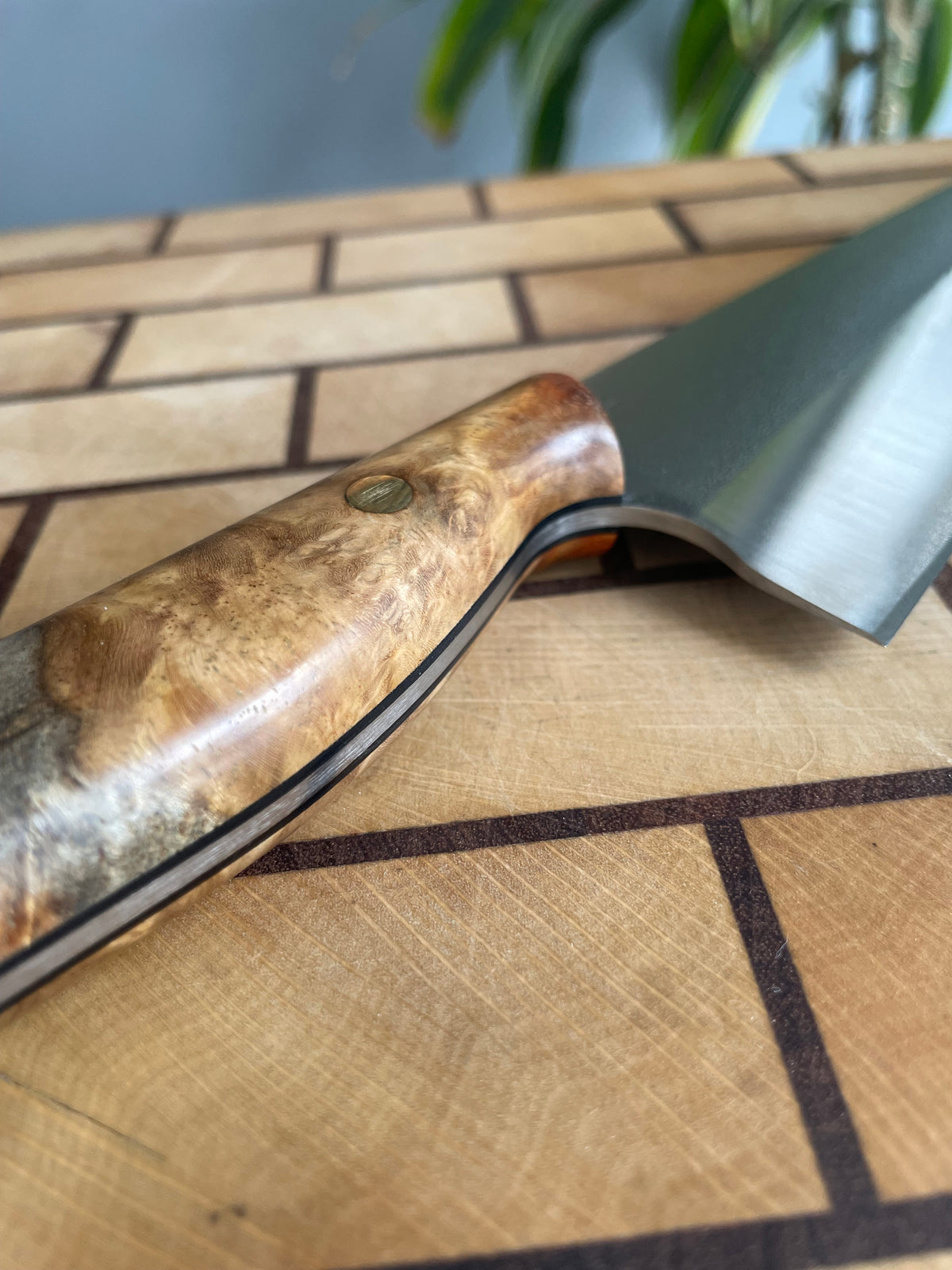 Asya Serisi Kiritsuke / N690