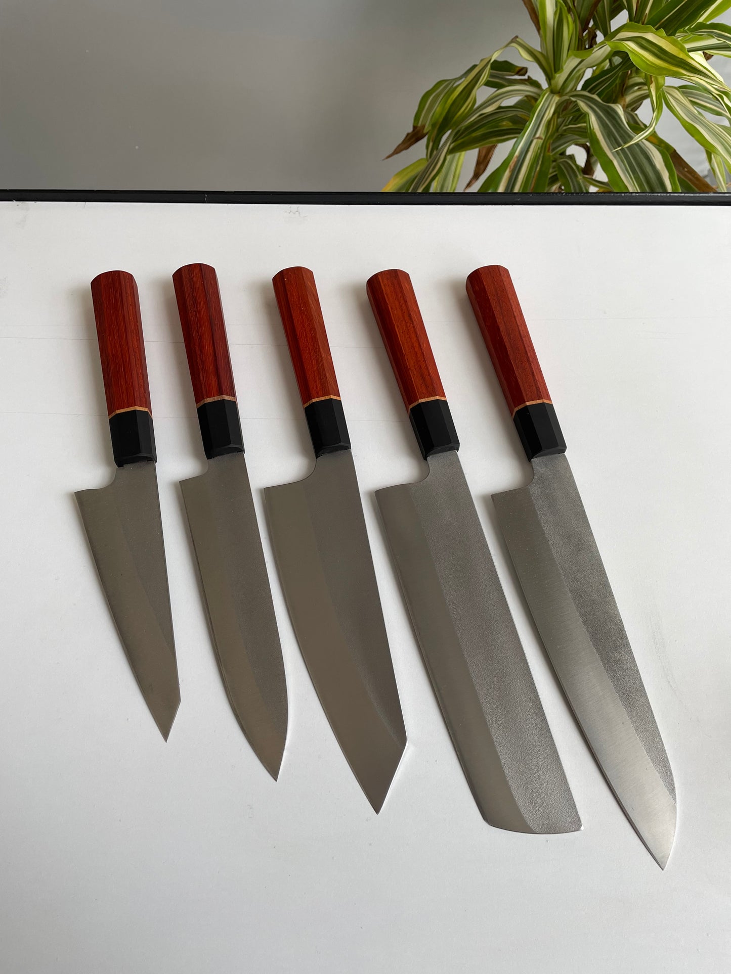 Asya Serisi Set / N690