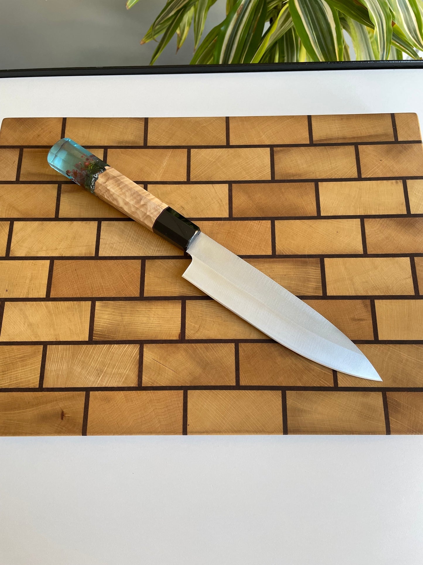 Asya Serisi Petty / N690