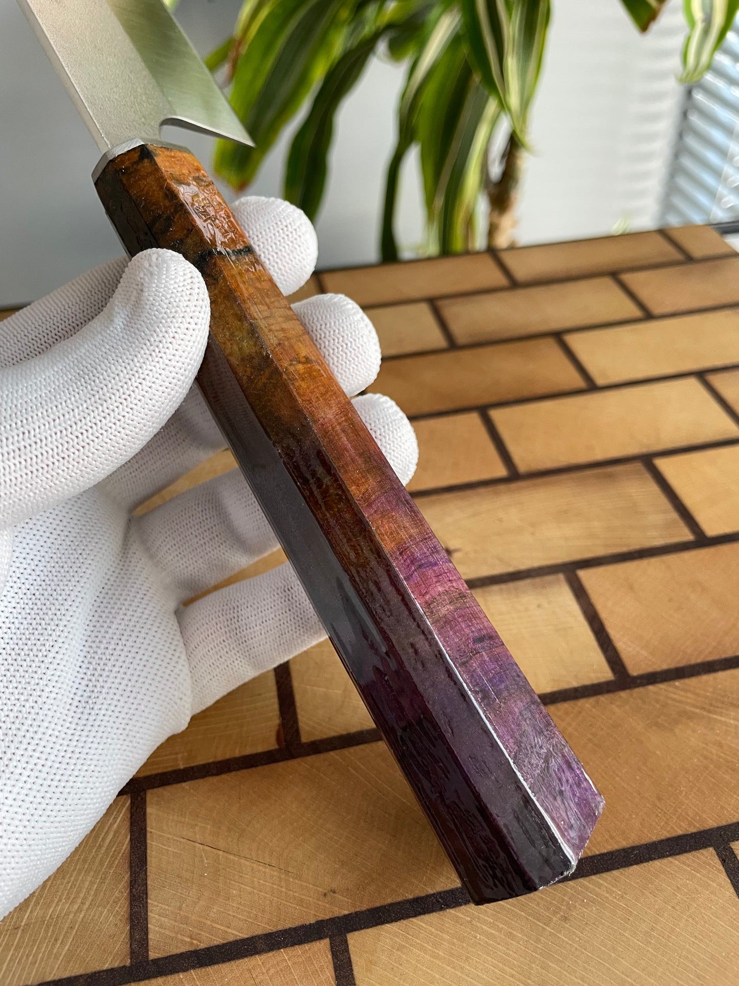 Asya Serisi Kiritsuke / N690