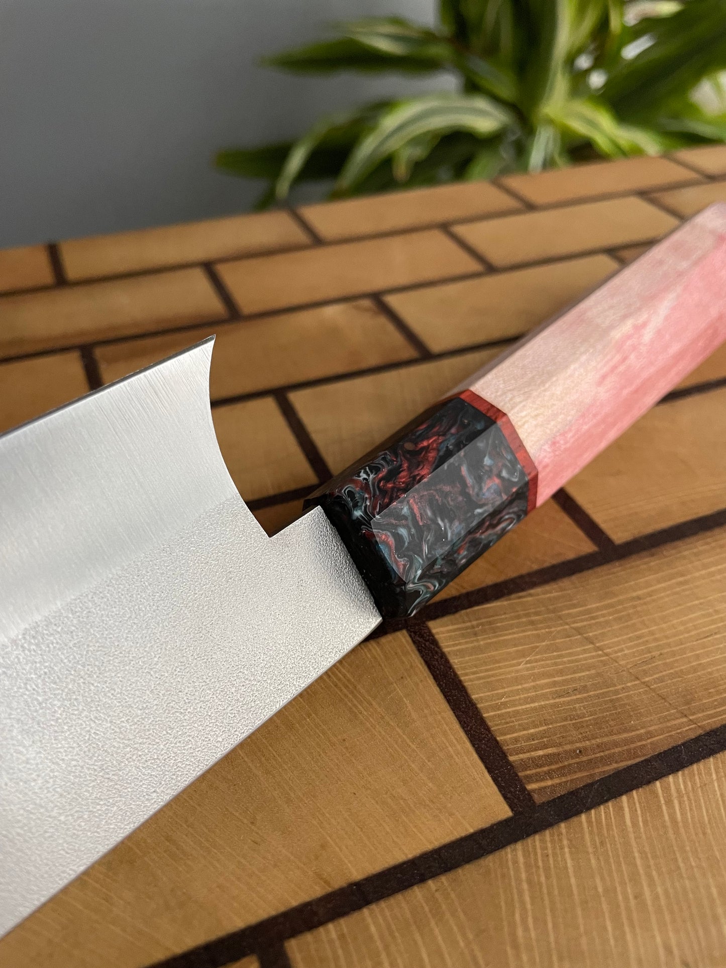 Asya Serisi Sujihiki / N690