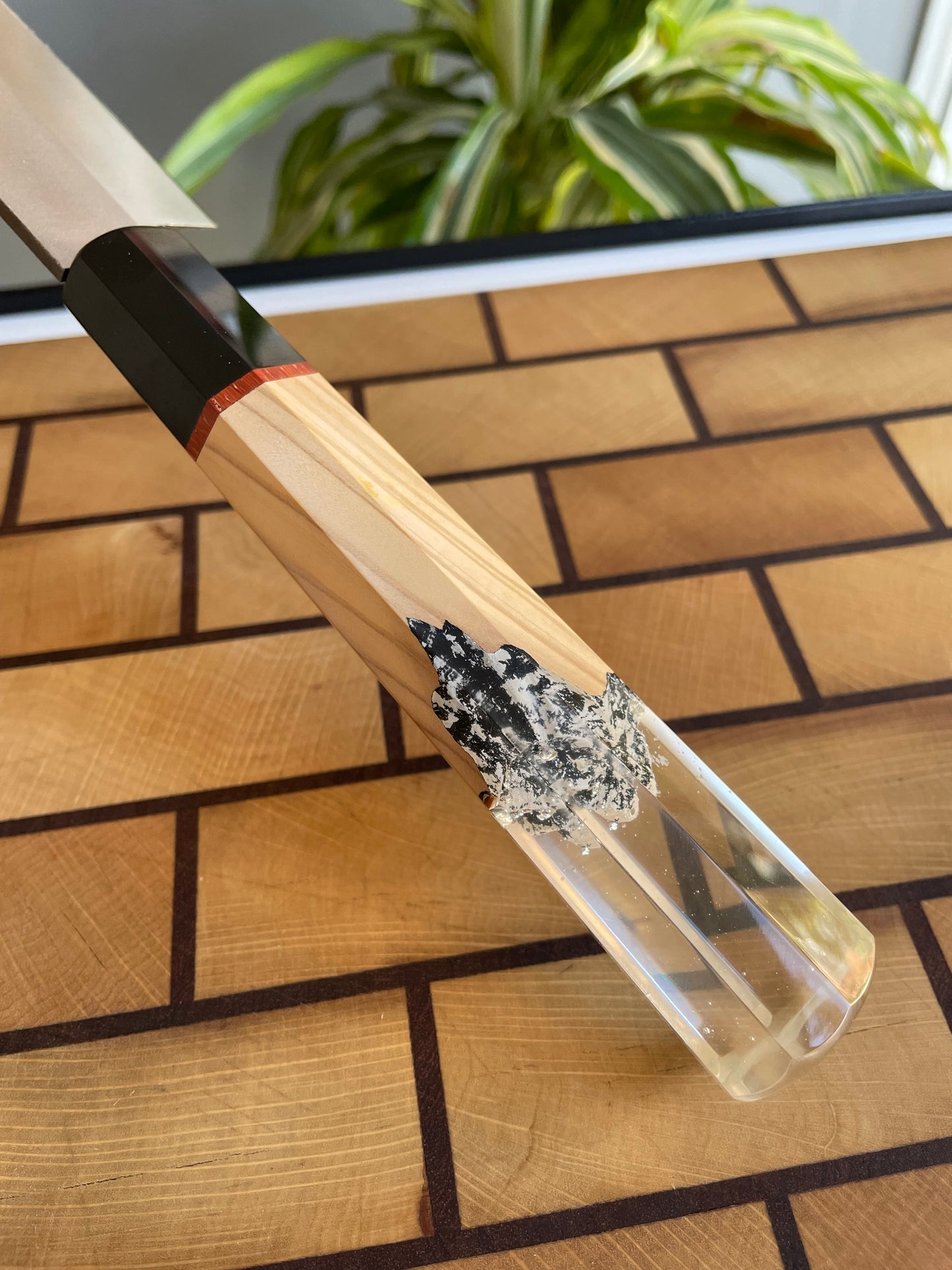 Asya Serisi Petty / N690