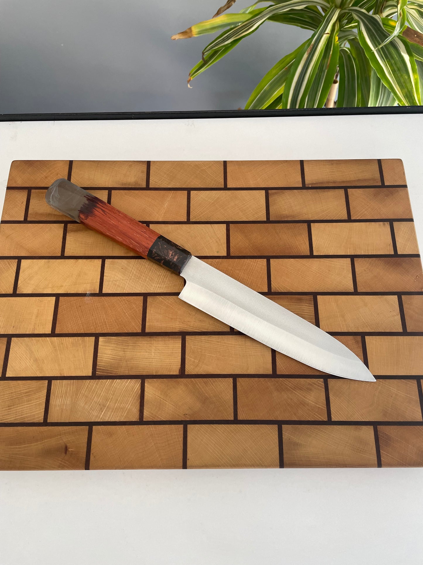 Asya Serisi Petty / N690