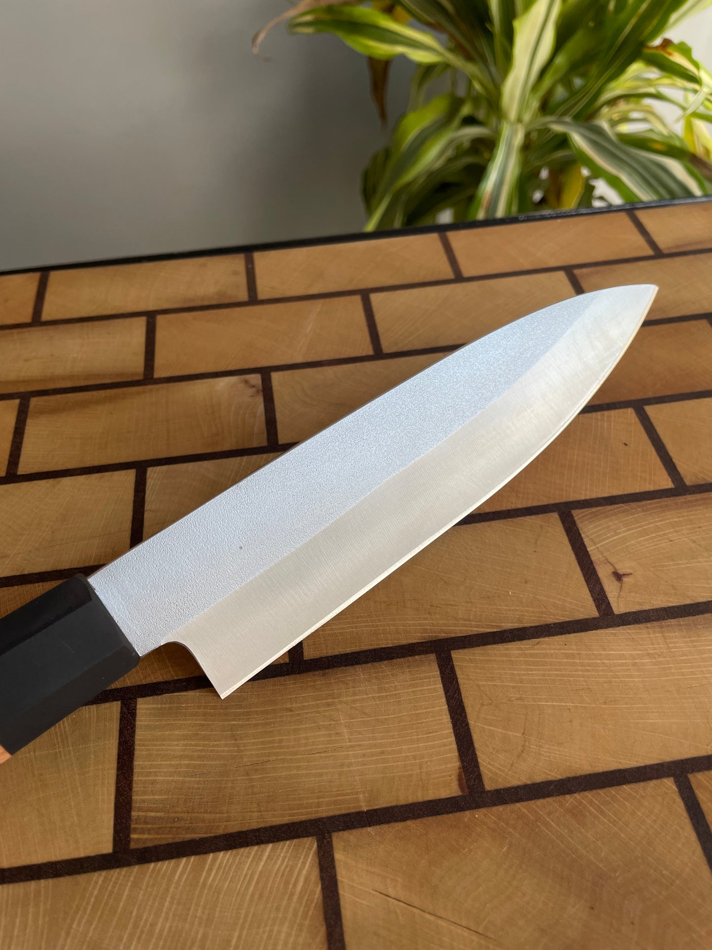 Asya Serisi Petty / N690