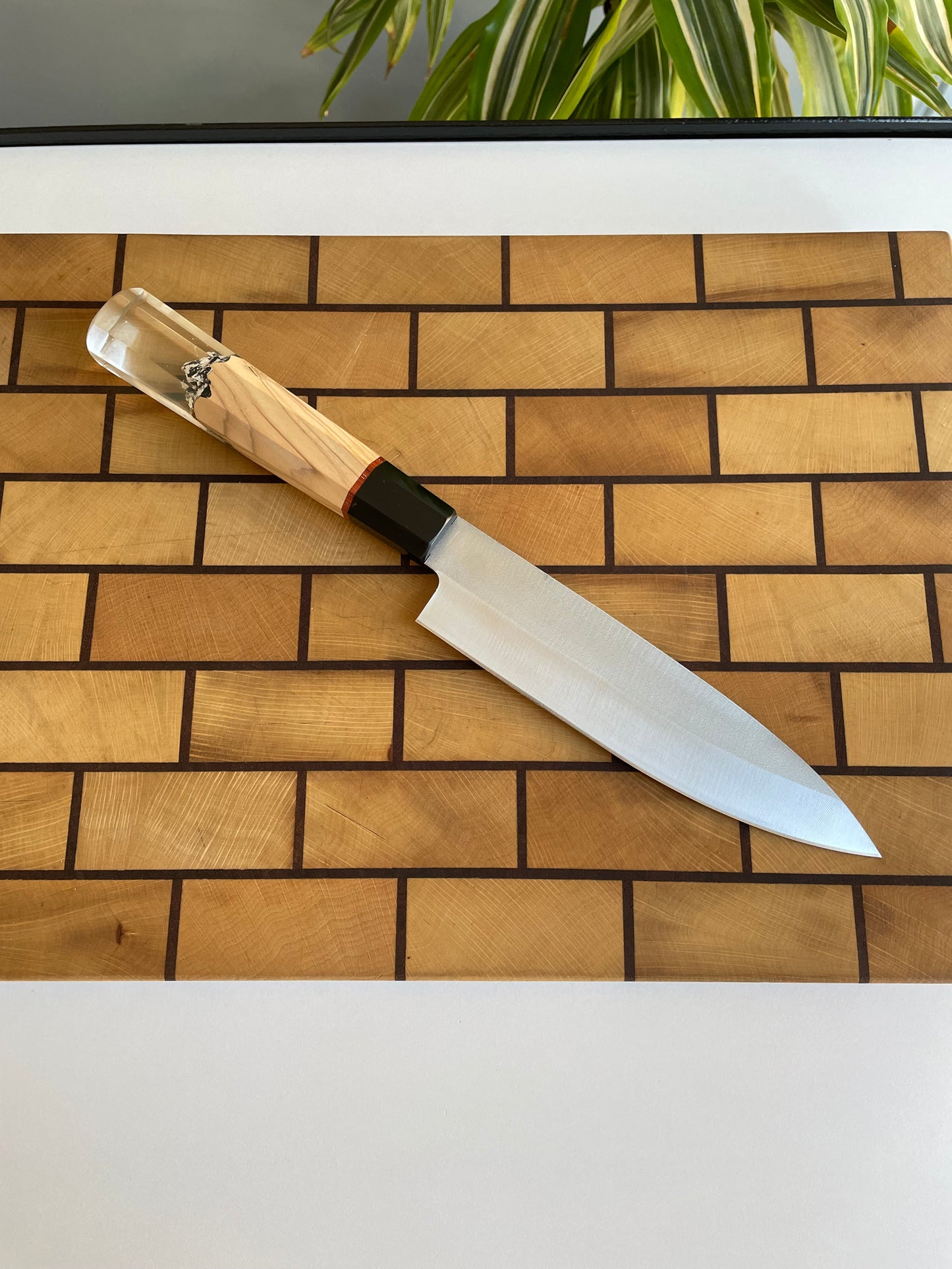 Asya Serisi Petty / N690