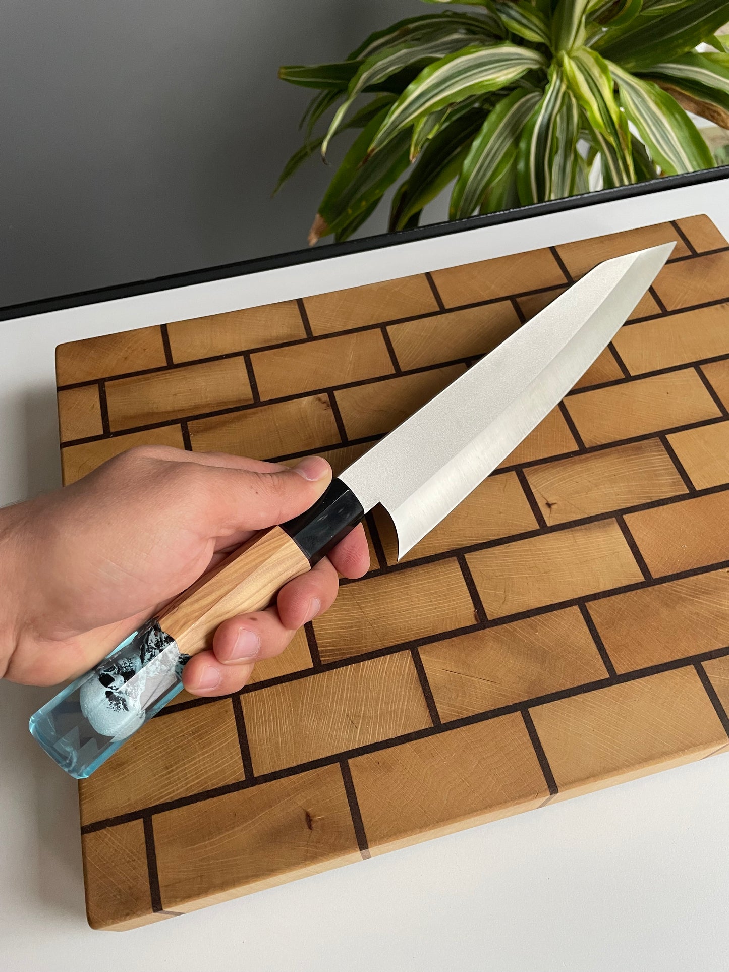 Asya Serisi Sujihiki / N690