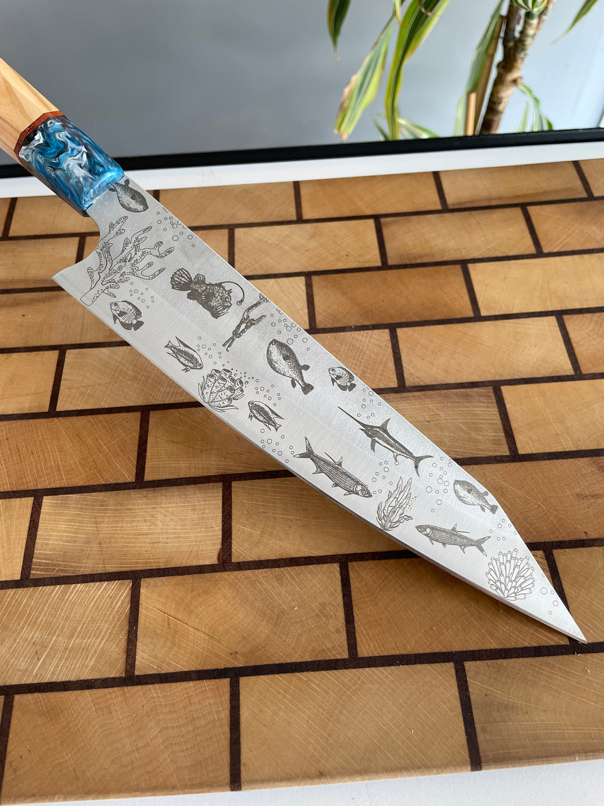Asya Serisi Sujihiki / N690