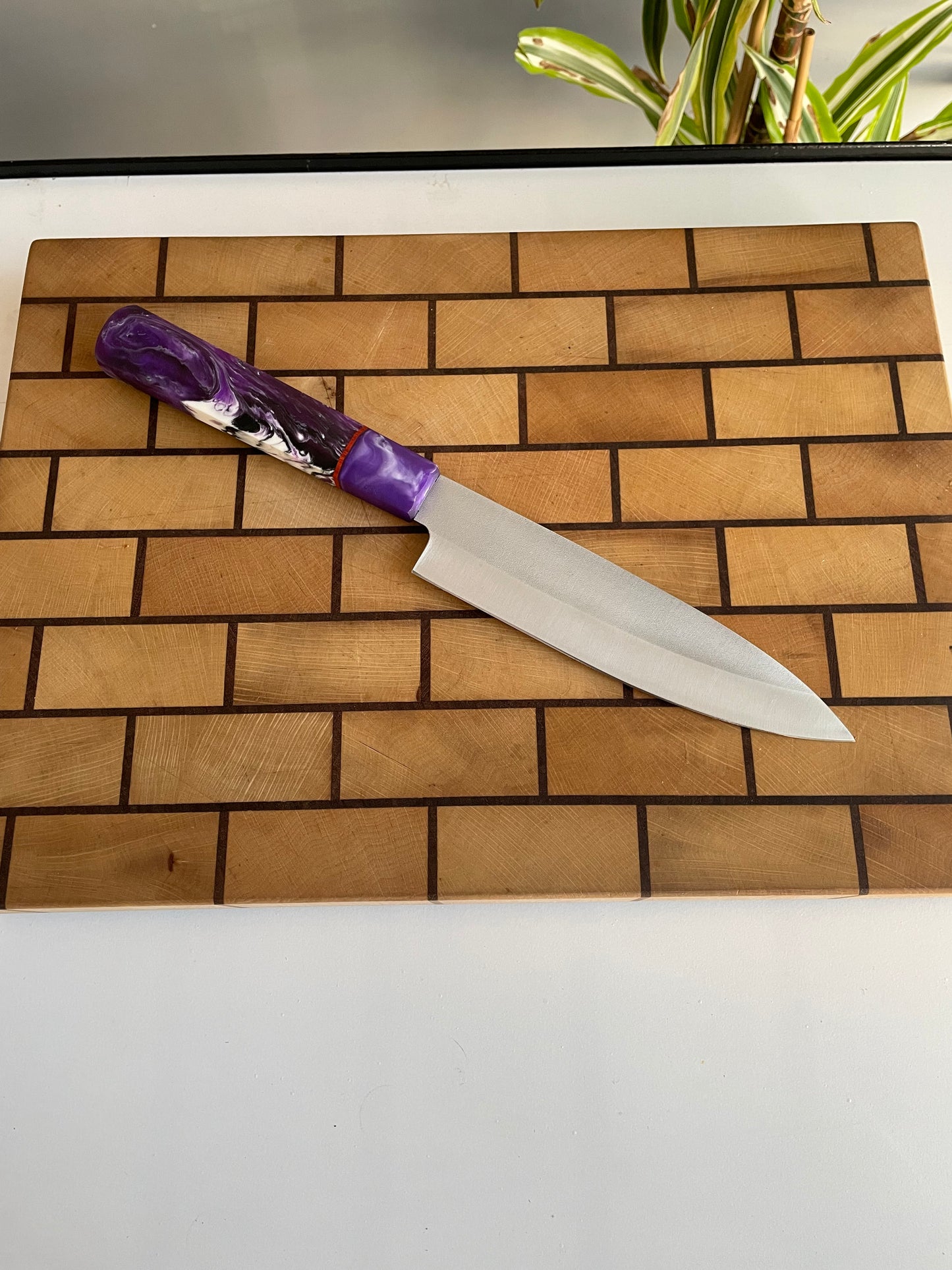 Asya Serisi Petty / N690