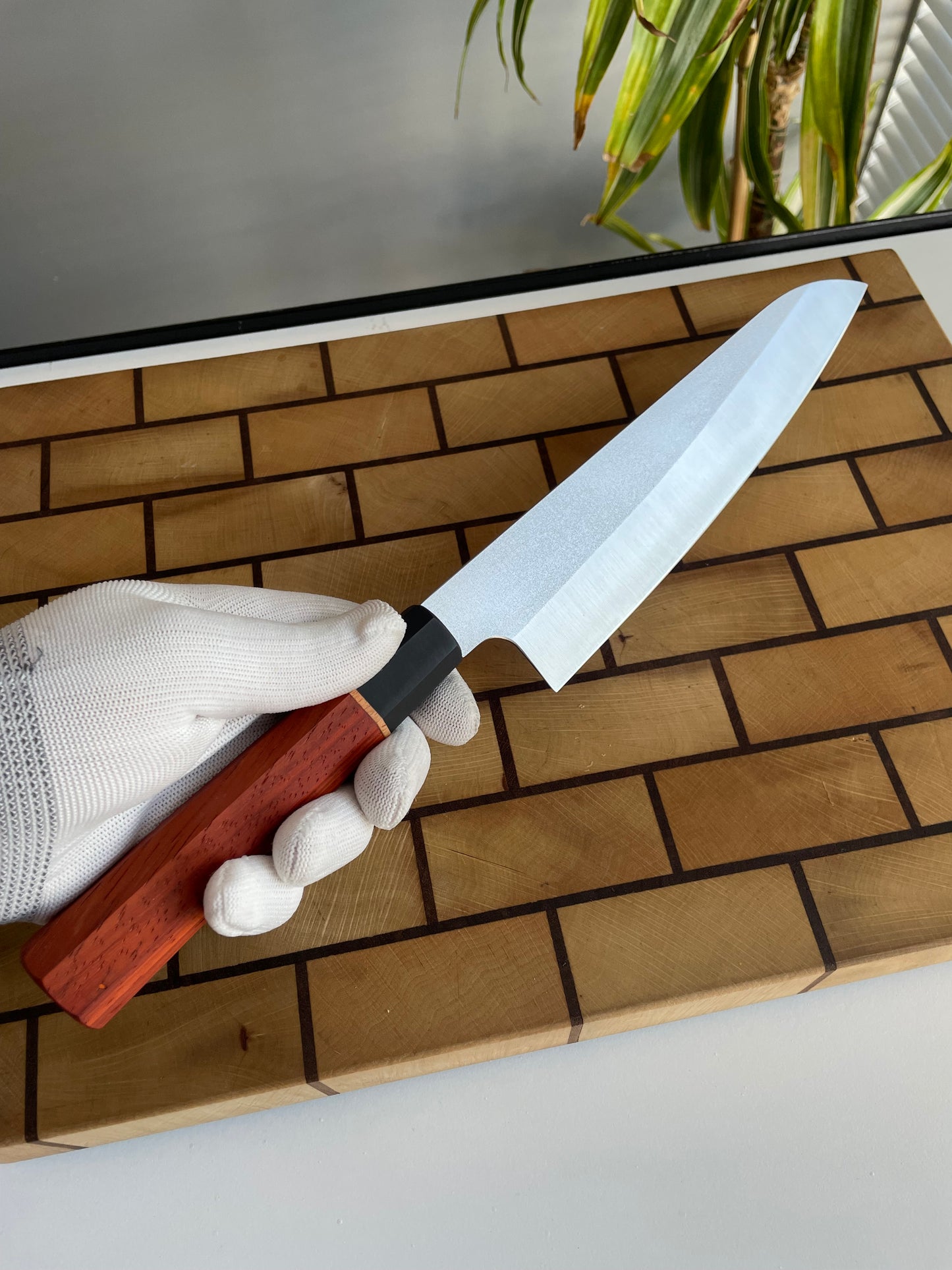 Asya Serisi Santoku / N690