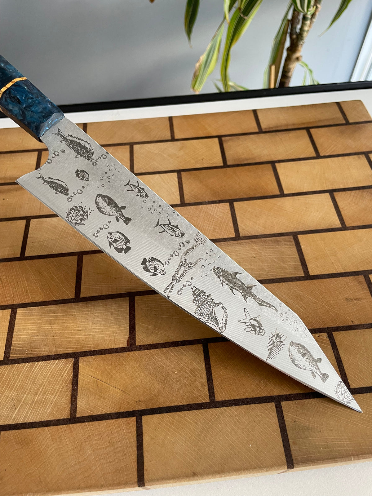 Asya Serisi Sujihiki / N690