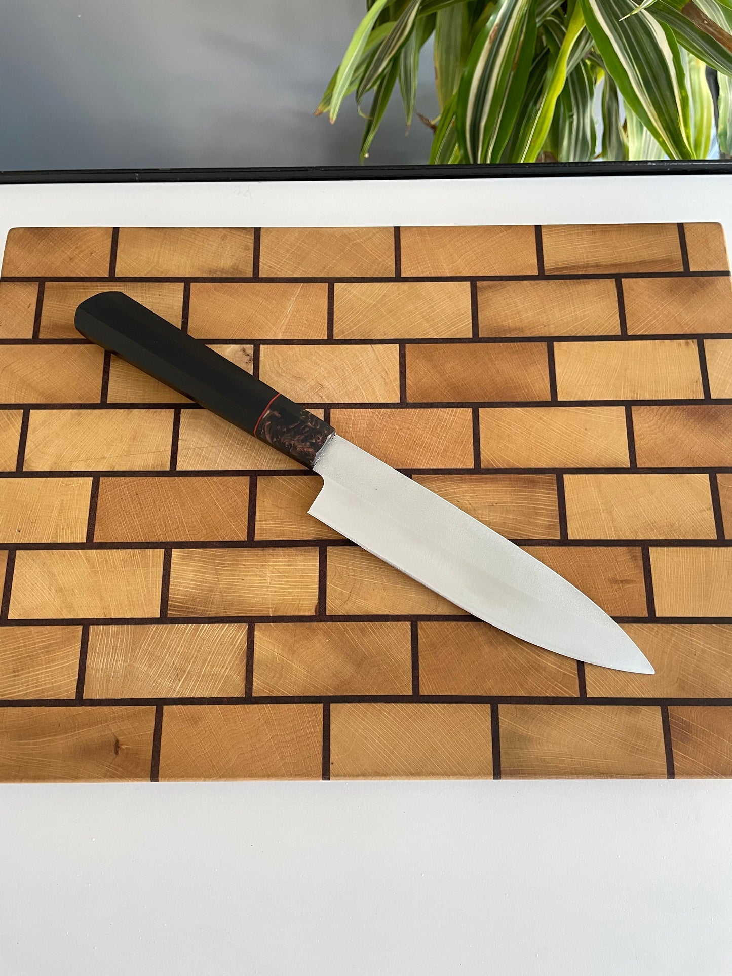 Asya Serisi Petty / 1.4116