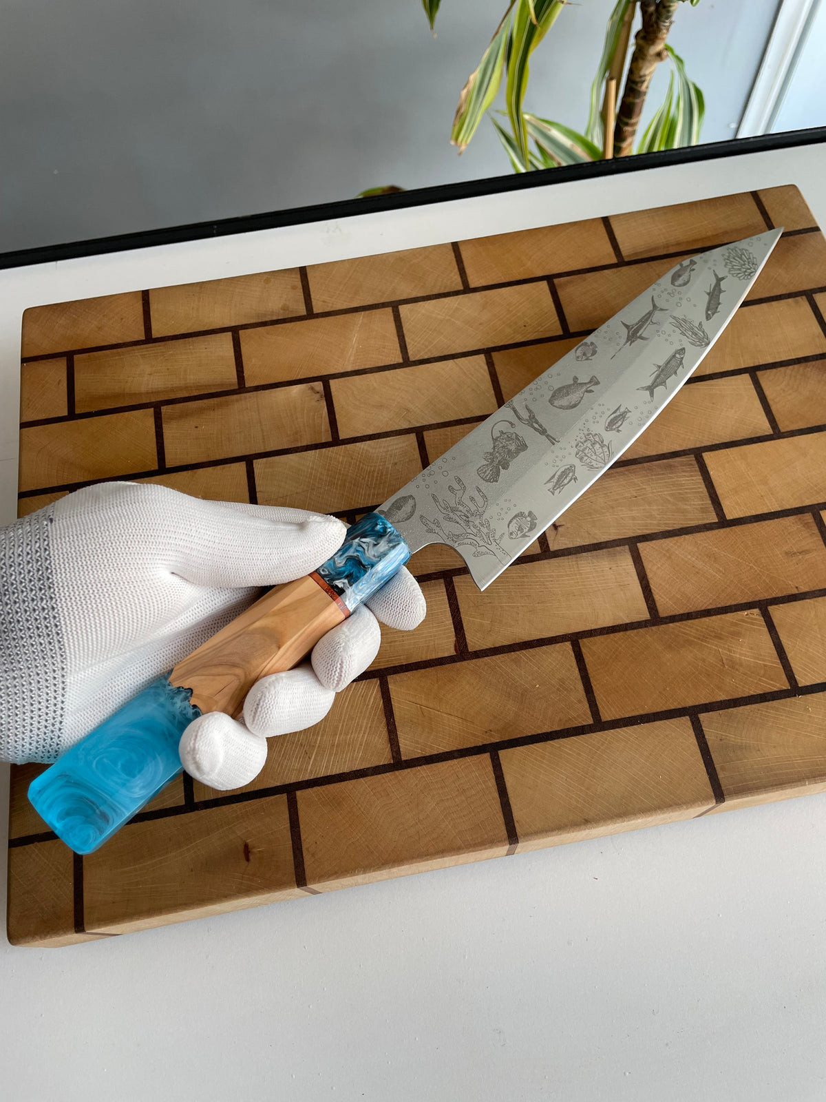 Asya Serisi Sujihiki / N690
