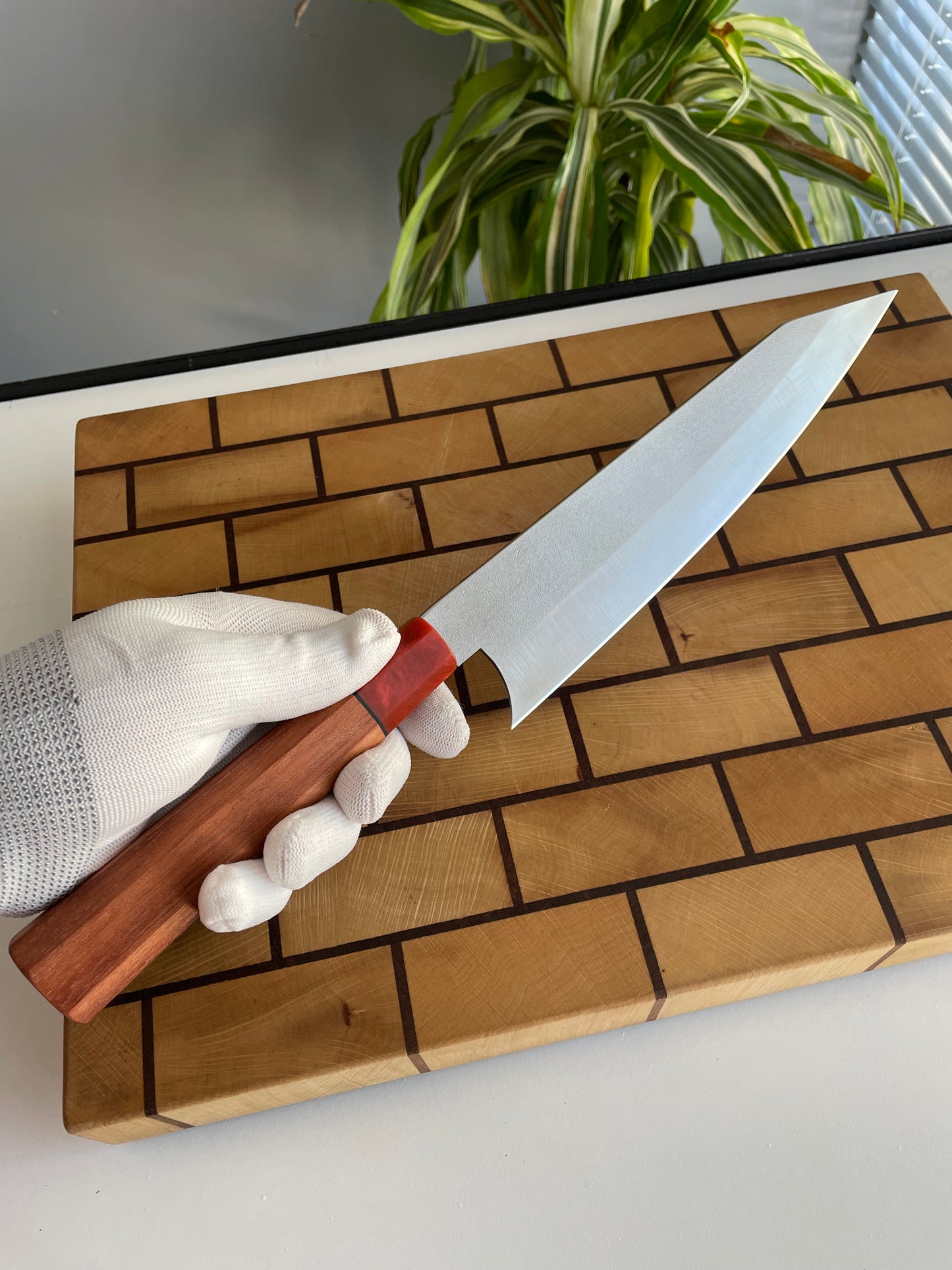 Asya Serisi Sujihiki / N690