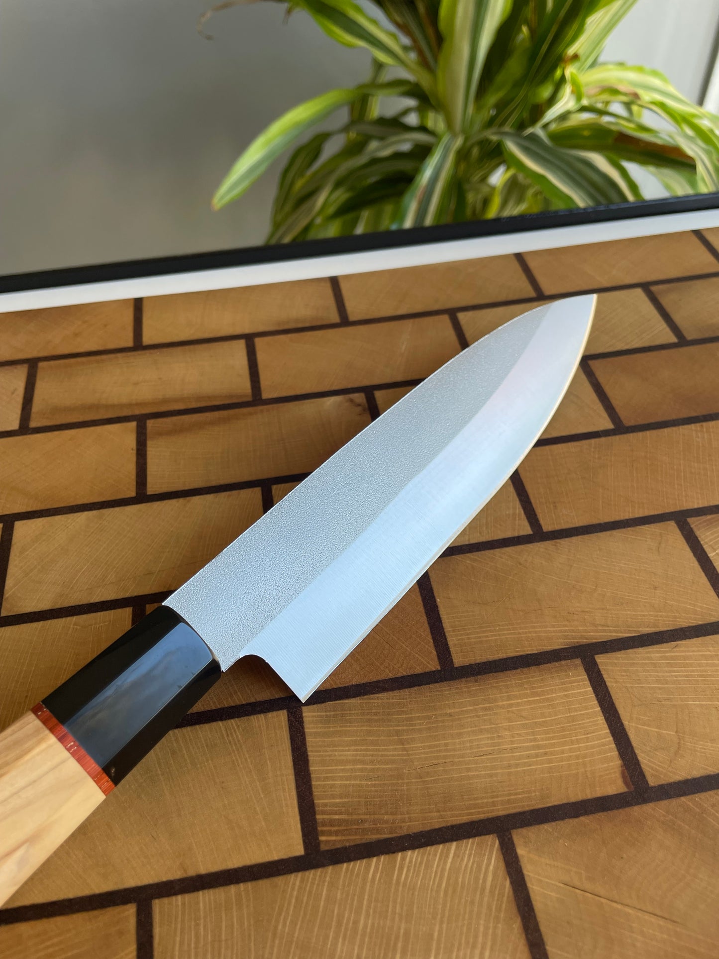 Asya Serisi Petty / N690