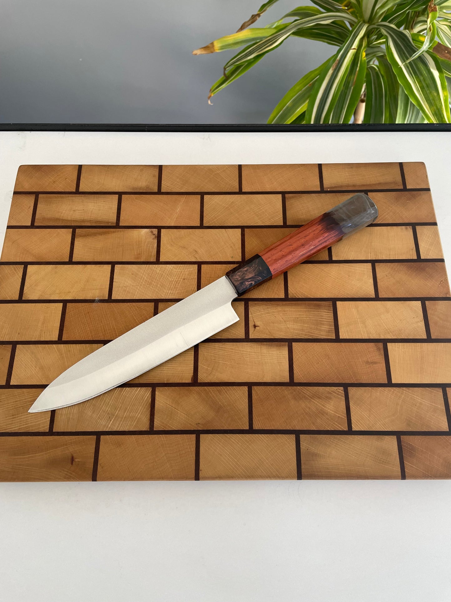 Asya Serisi Petty / N690