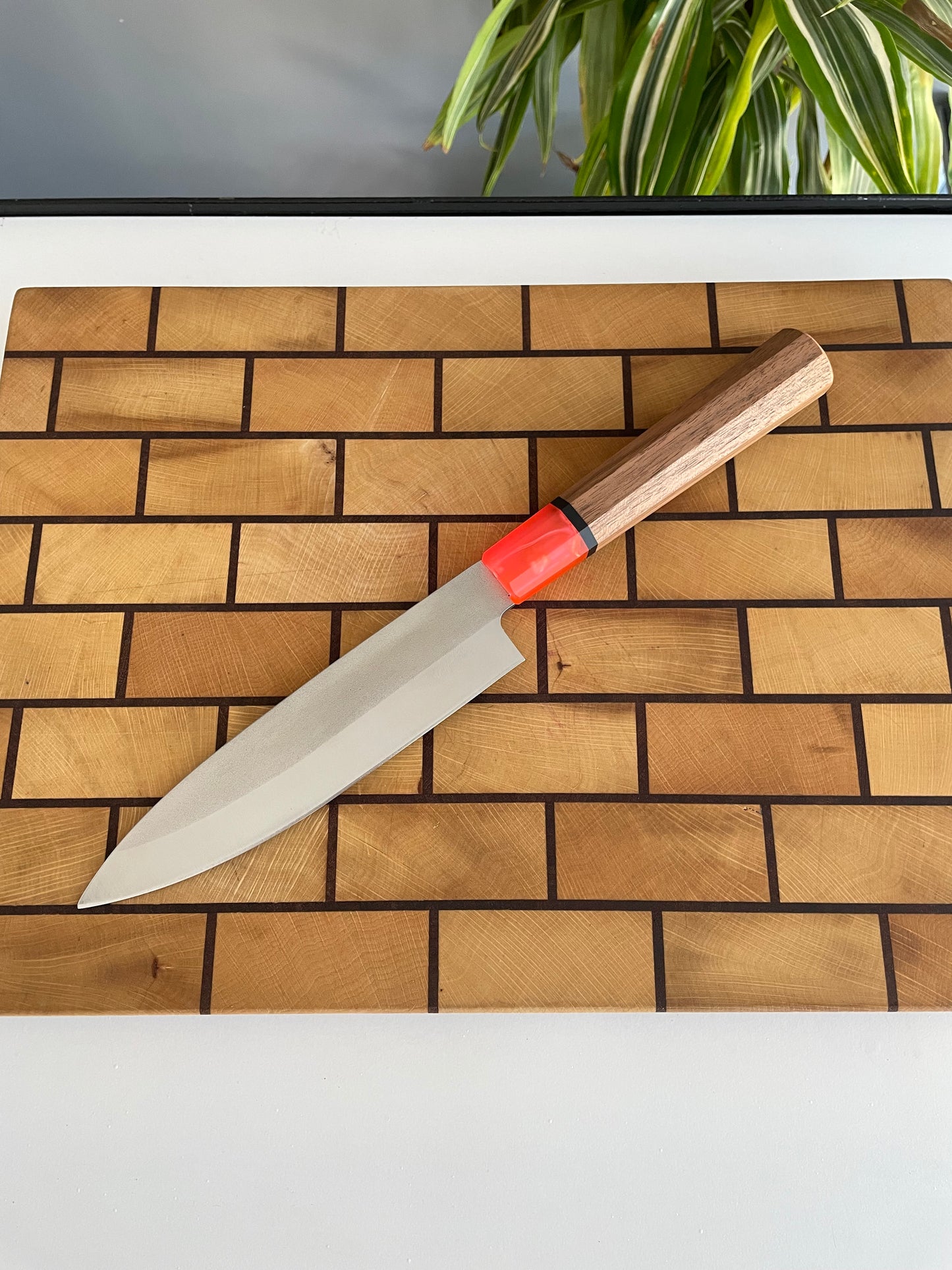 Asya Serisi Petty / 1.4116